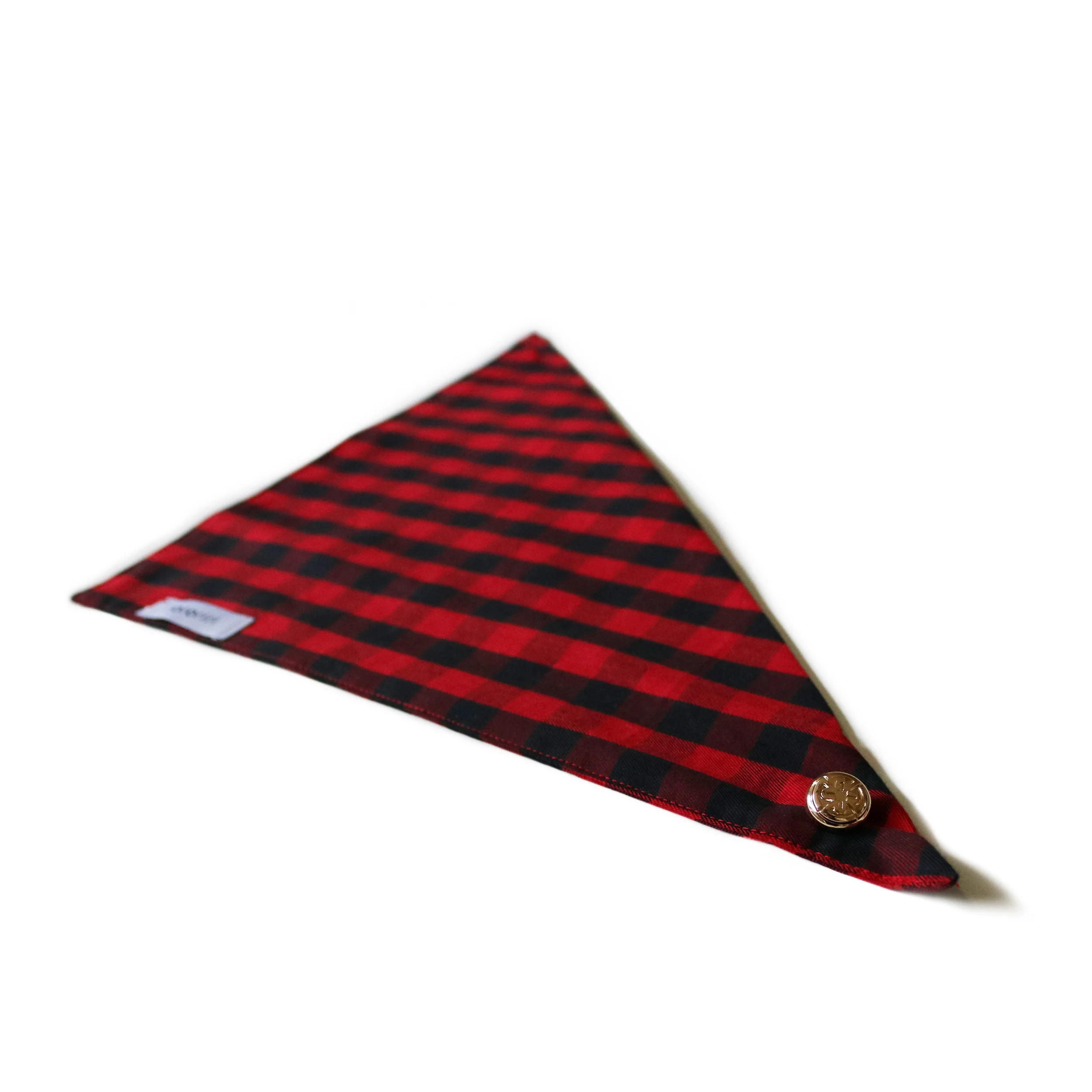 bandana_Ali_b.jpg
