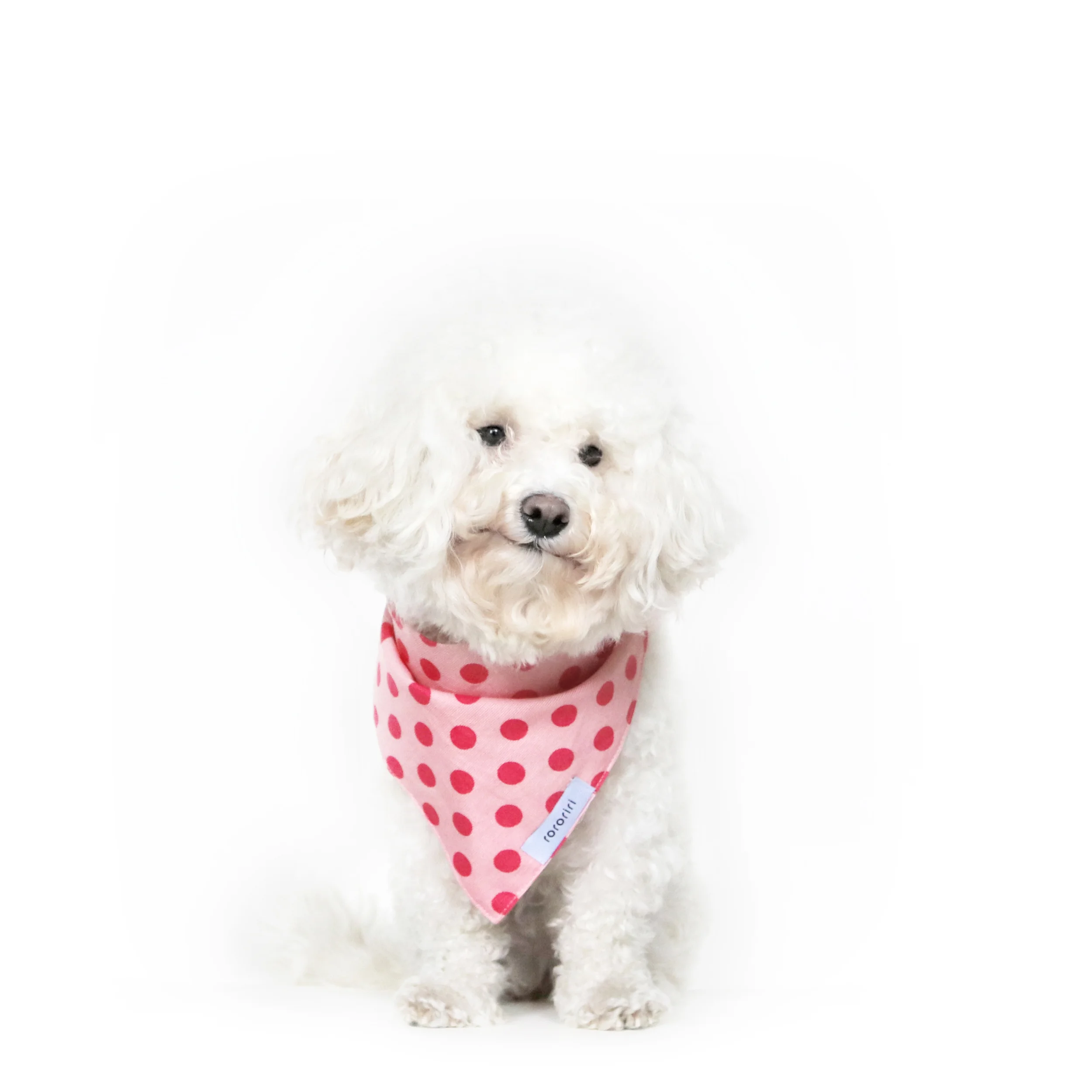 bandana_Sophia.jpg