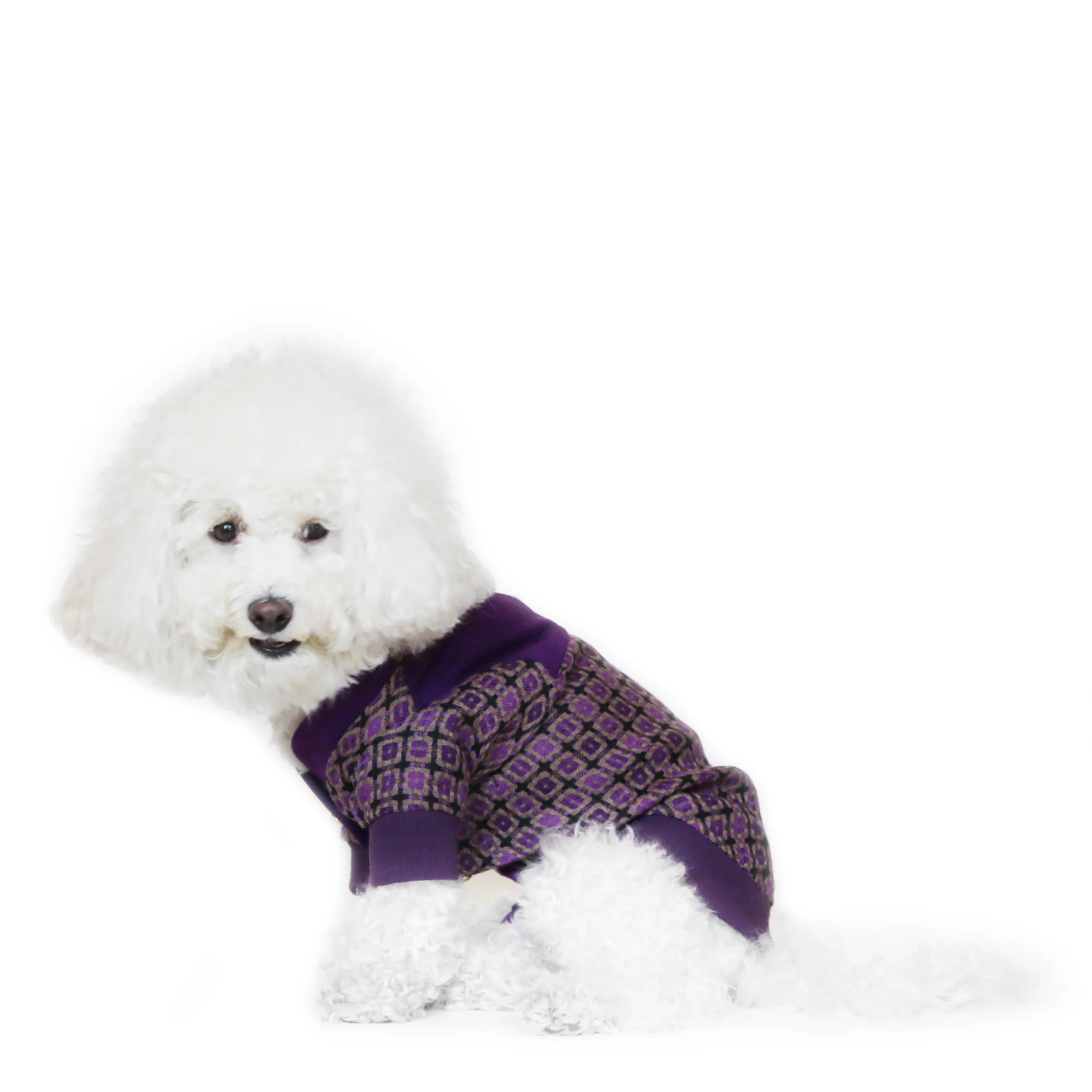 Cardigan_nelson_a.jpg