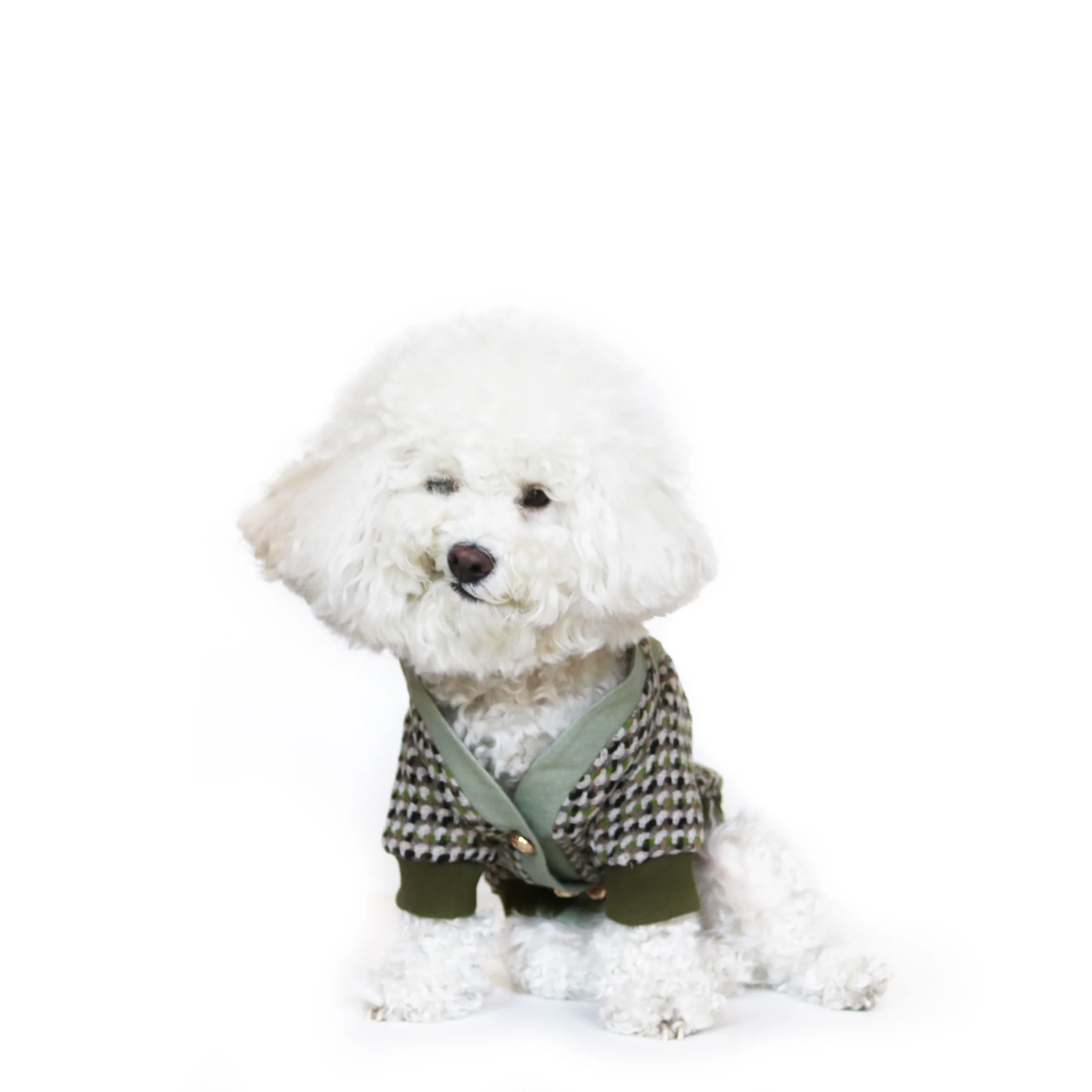 Cardigan_Margaret_a2.jpg