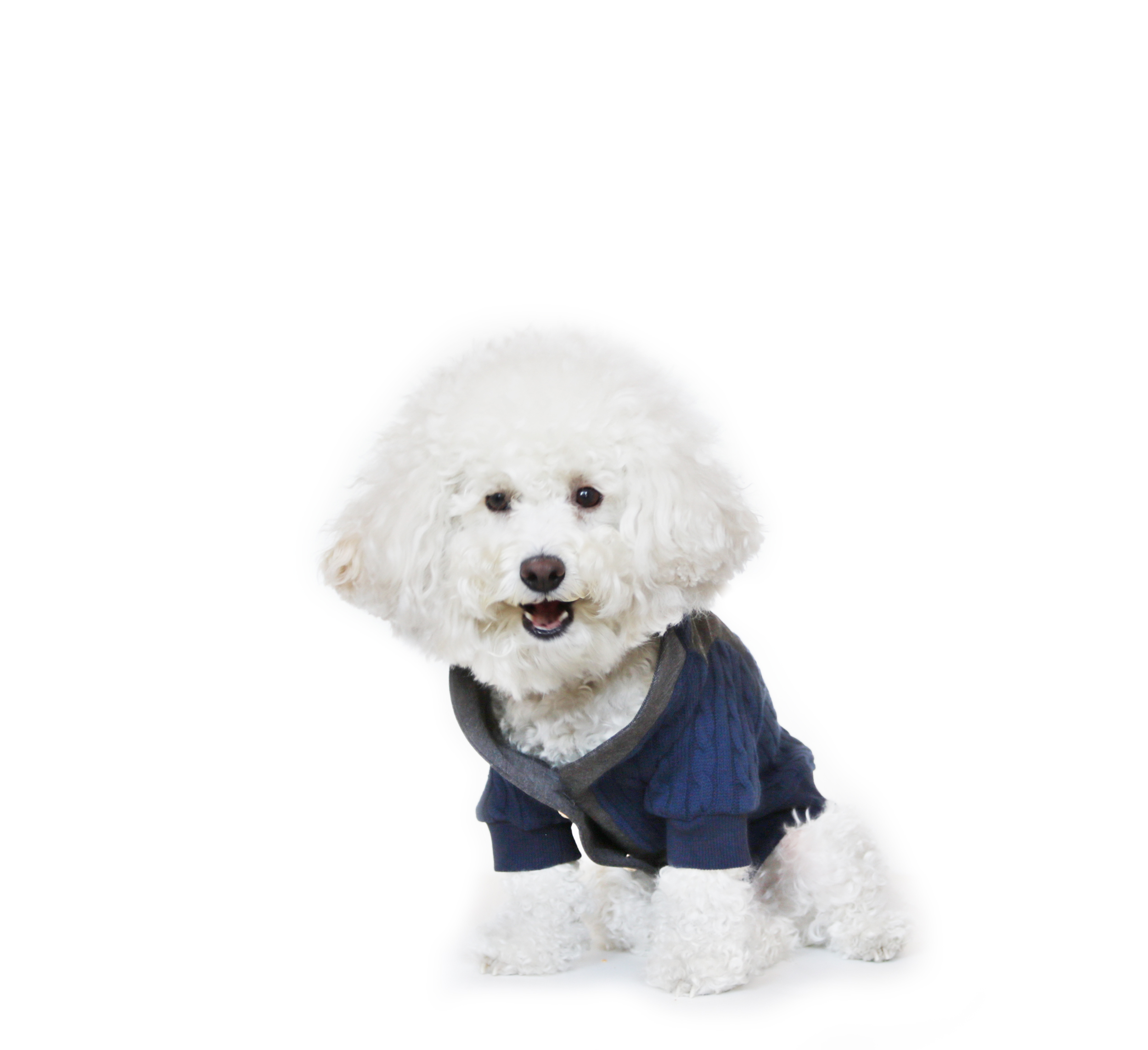 Cardigan_alex_a.jpg