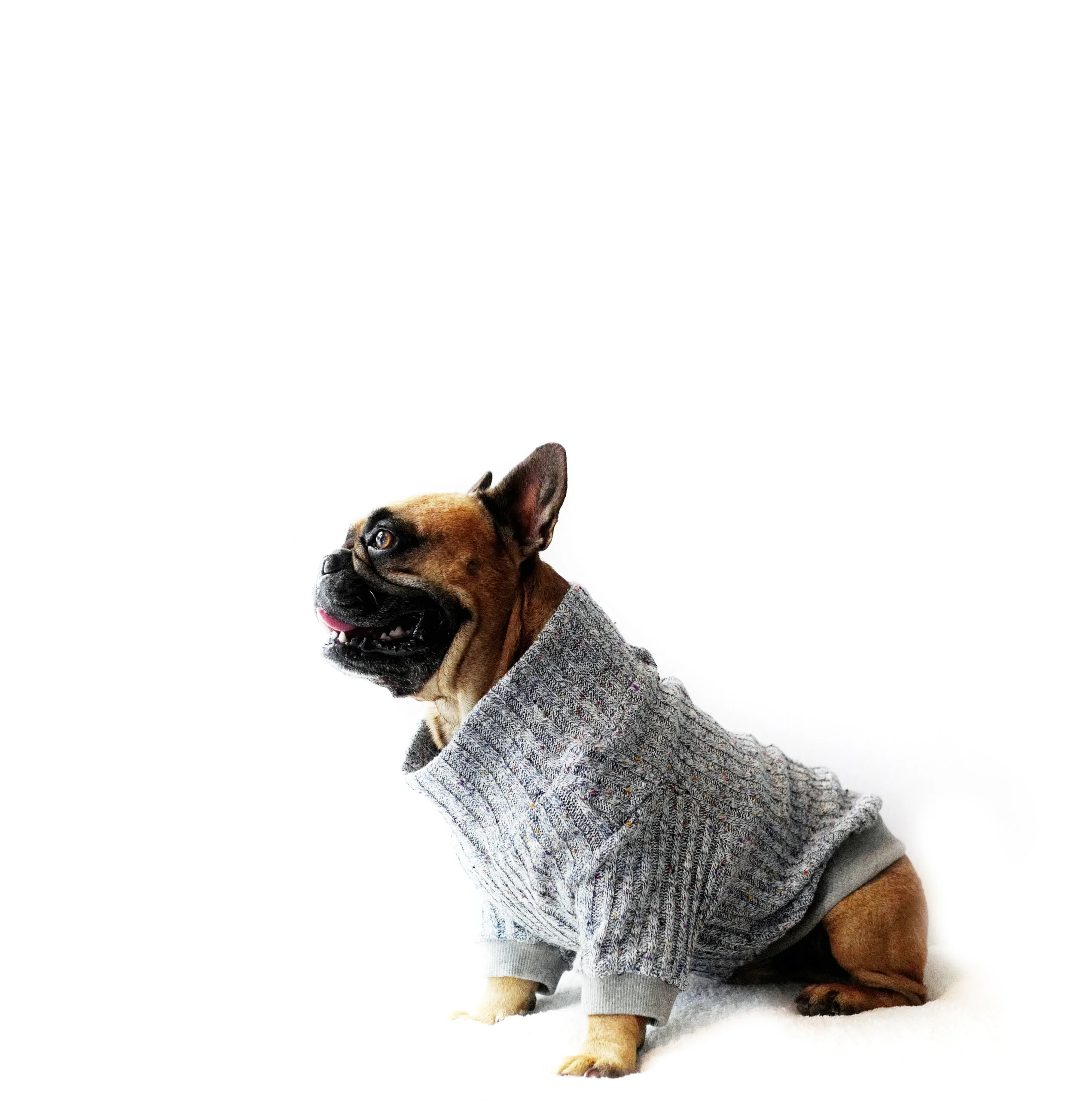 sweater_john_enzo2.jpg
