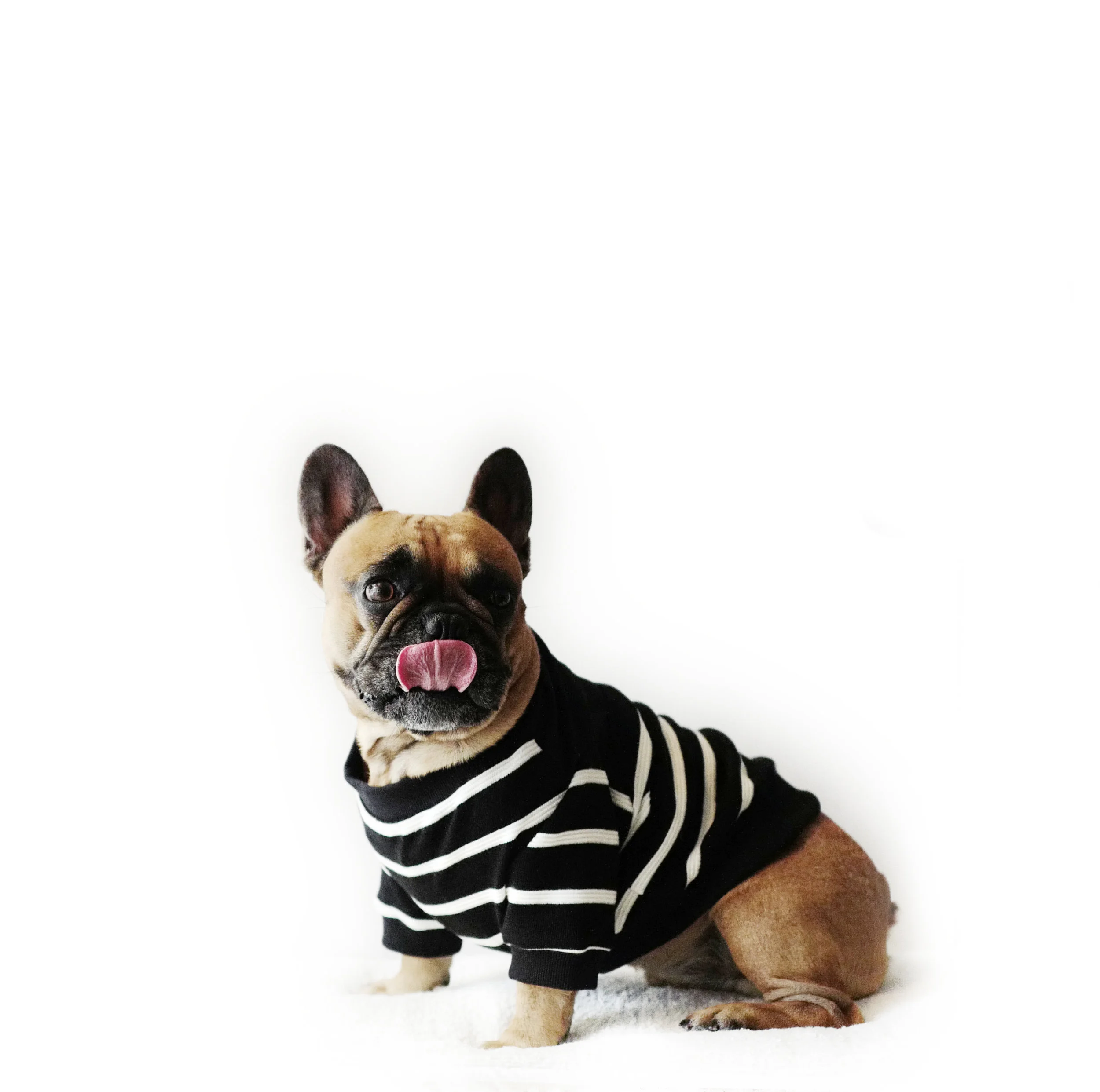 sweater_Madison_enzo2.jpg