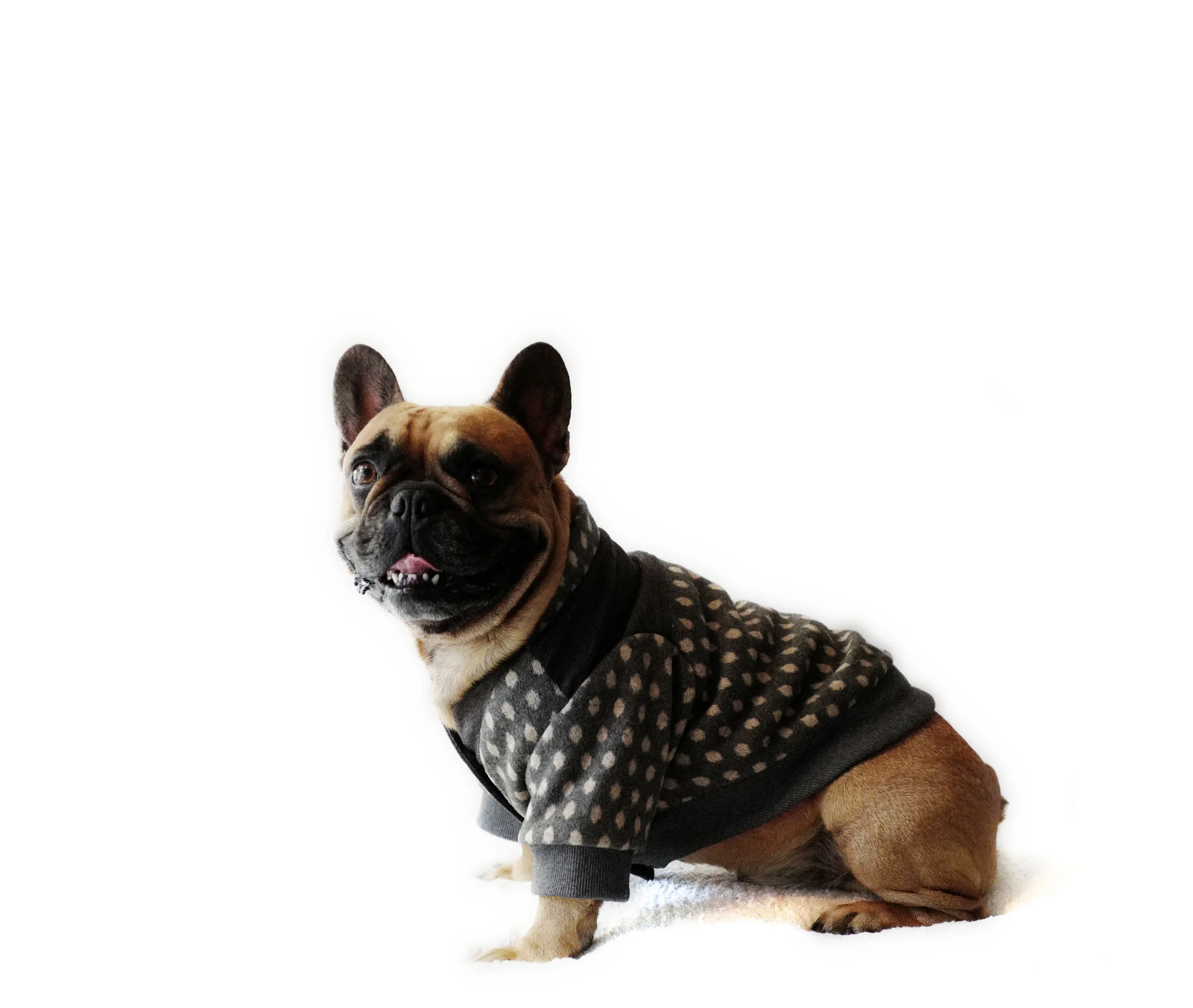 cardigan_Ingrid_enzo2.jpg