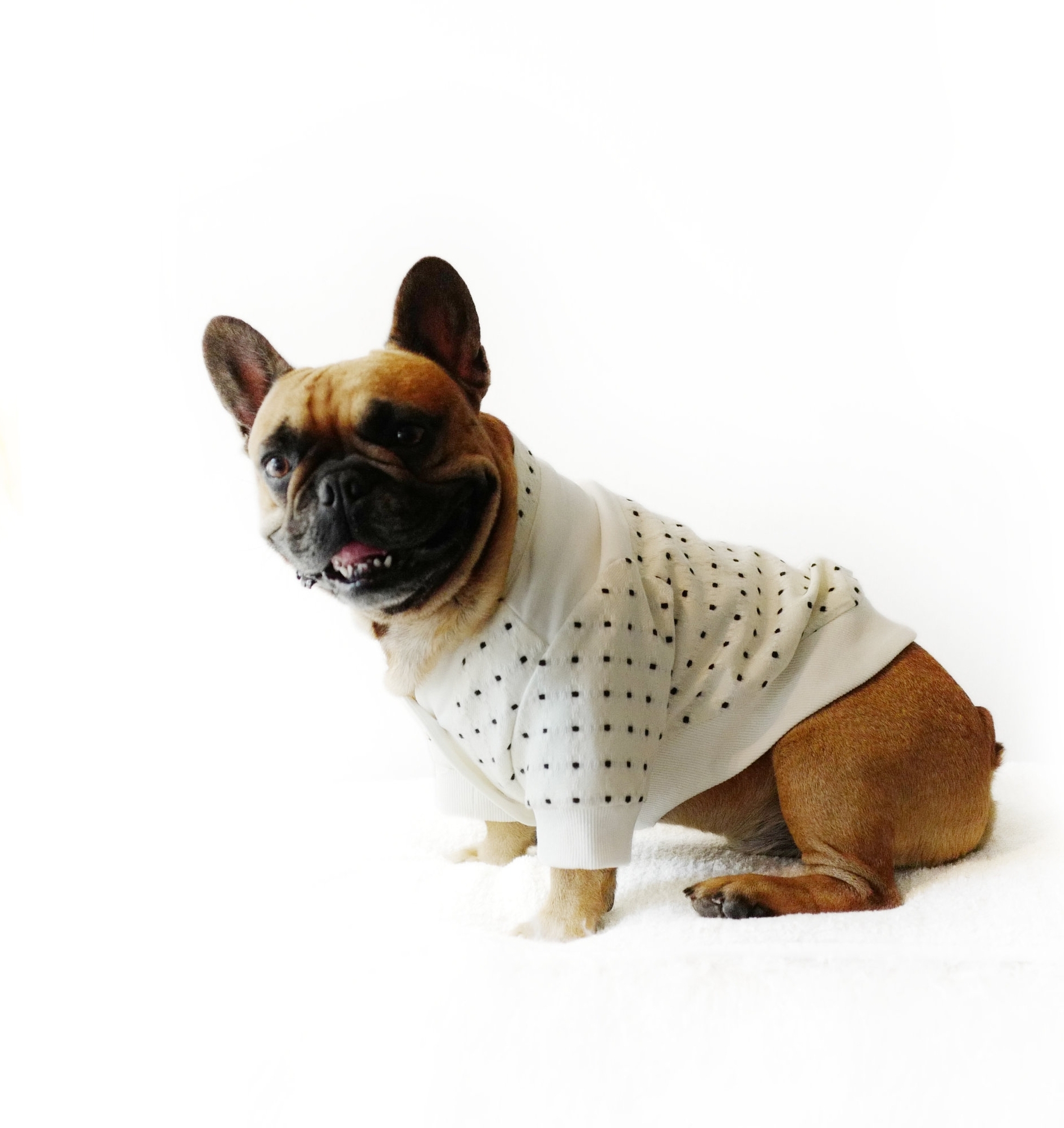 Cardigan_Mochi_enzo3.jpg
