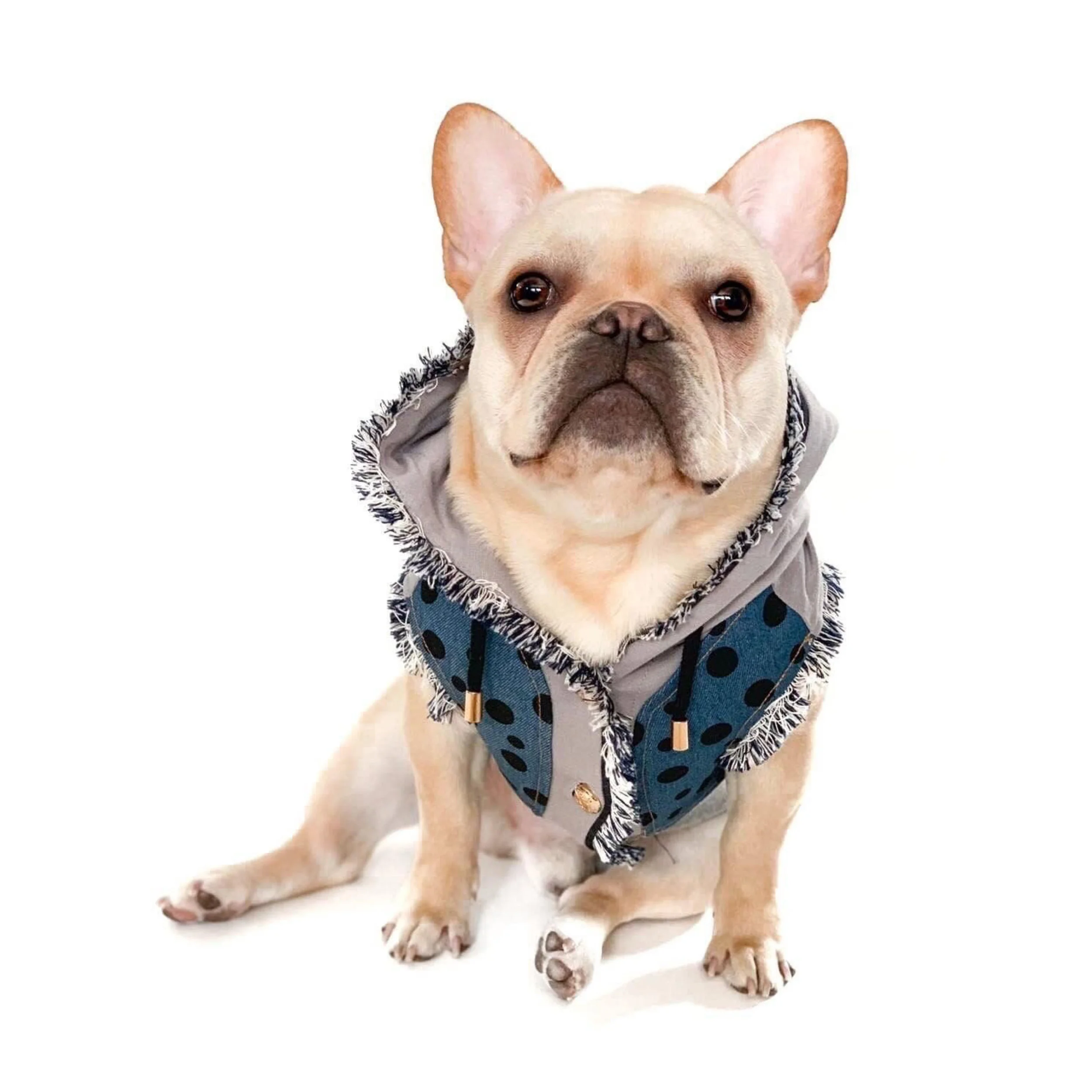 6F10FDAF-1302-4CDC-8A5B-F24B08406D01