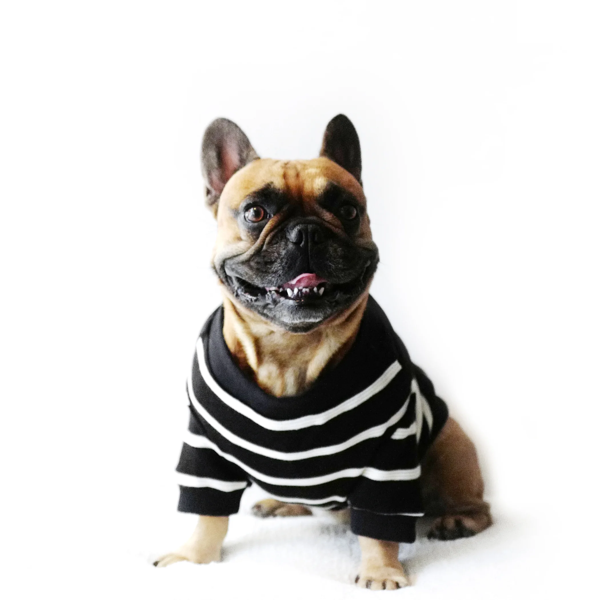 sweater_Madison_enzo.jpg