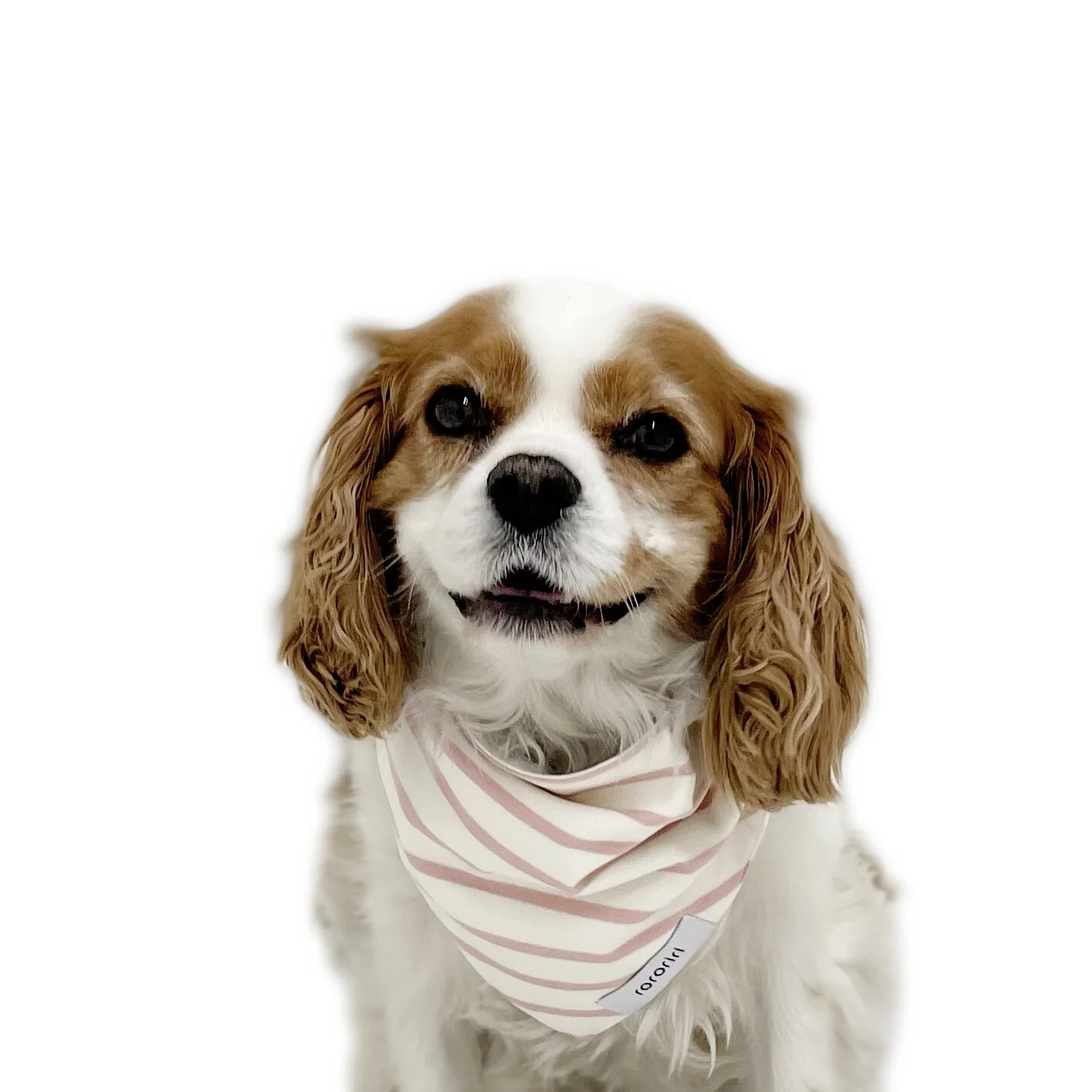 Bandana Mabel