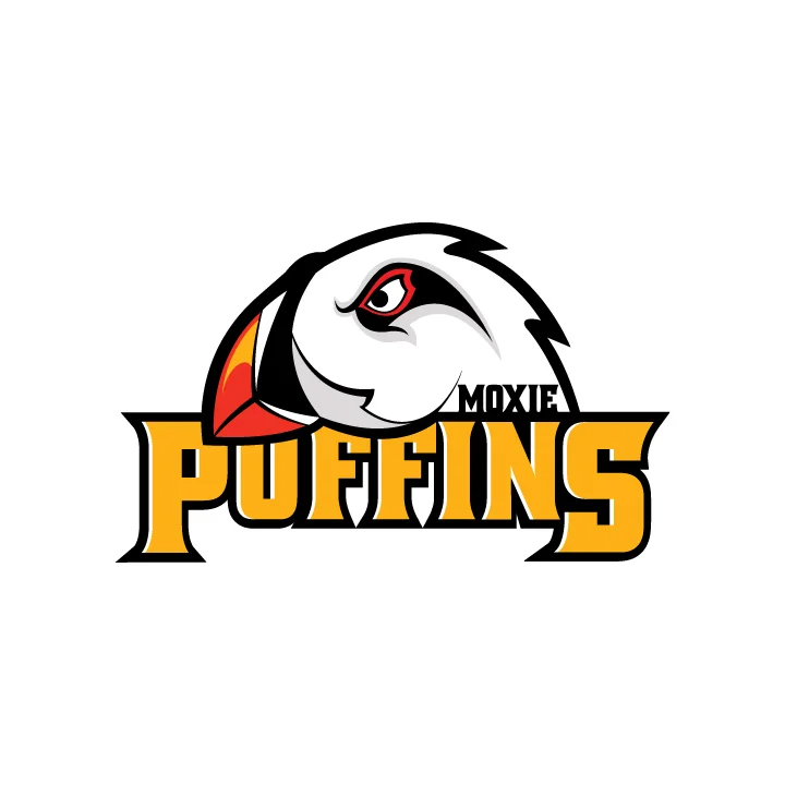 Puffins.jpg