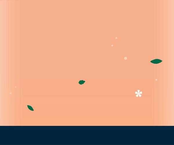 Concept-02-mrec.gif