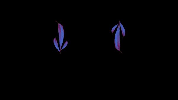 V2_03_Up_and_Down_1.gif