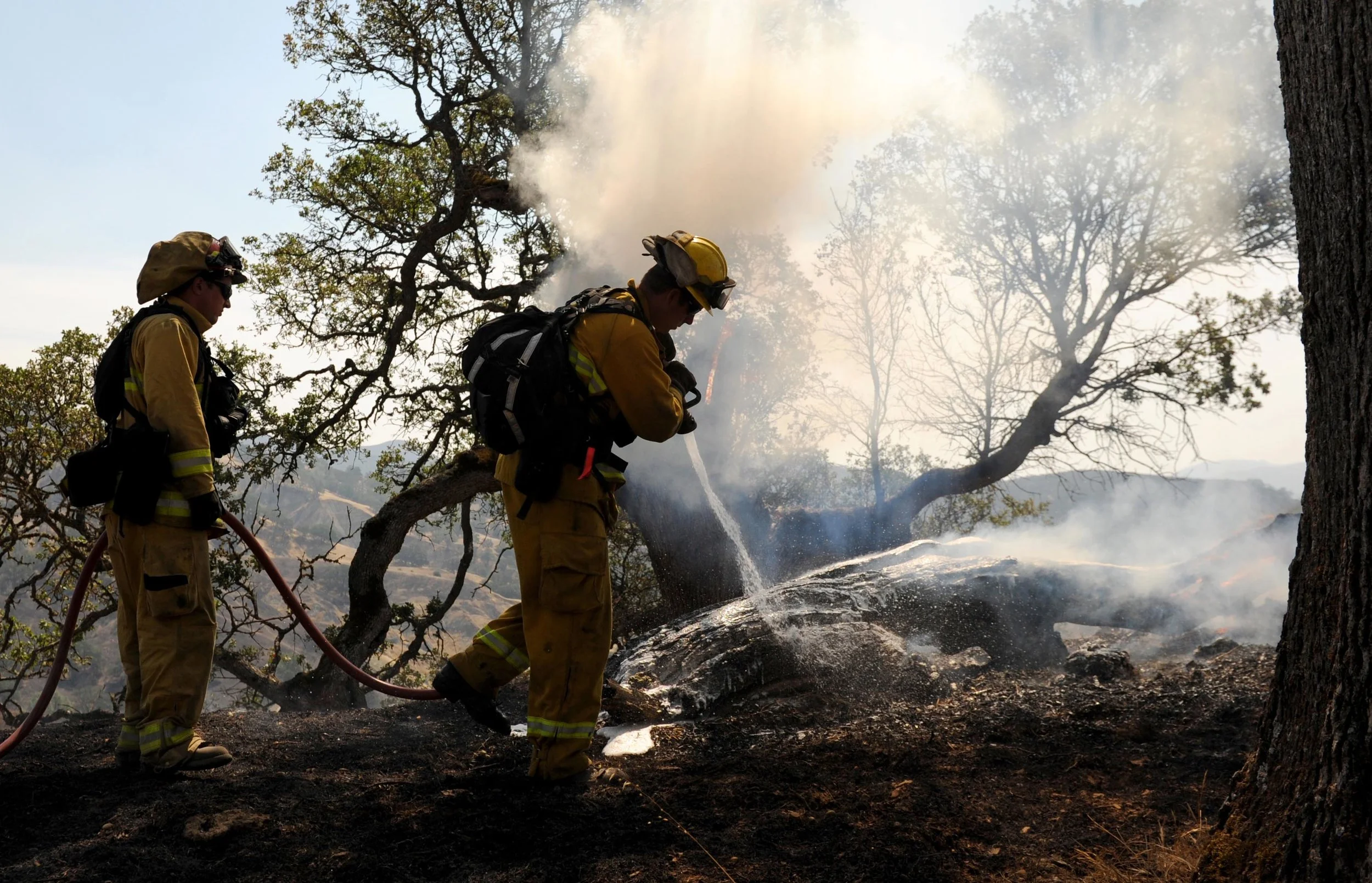 California Wildfire Relief