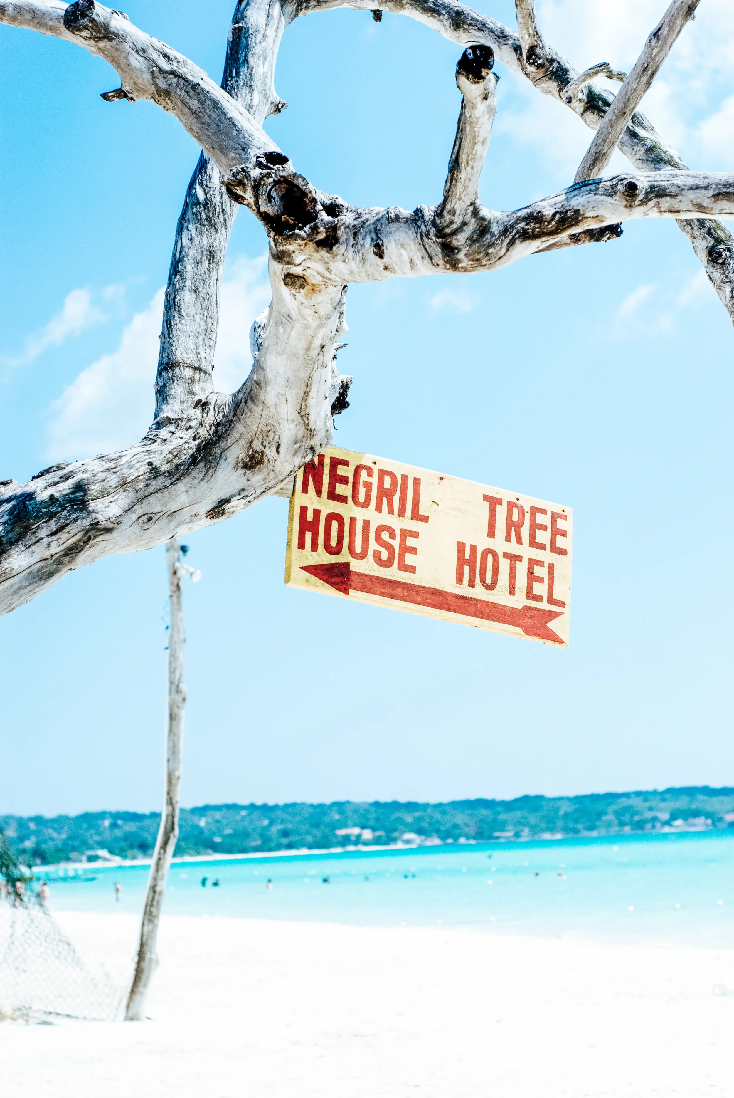 A weathered, leafless tree with a sign hanging from one of its branches pointing to the left. The sign reads "Negil House" and "Tree Hotel" in red letters.