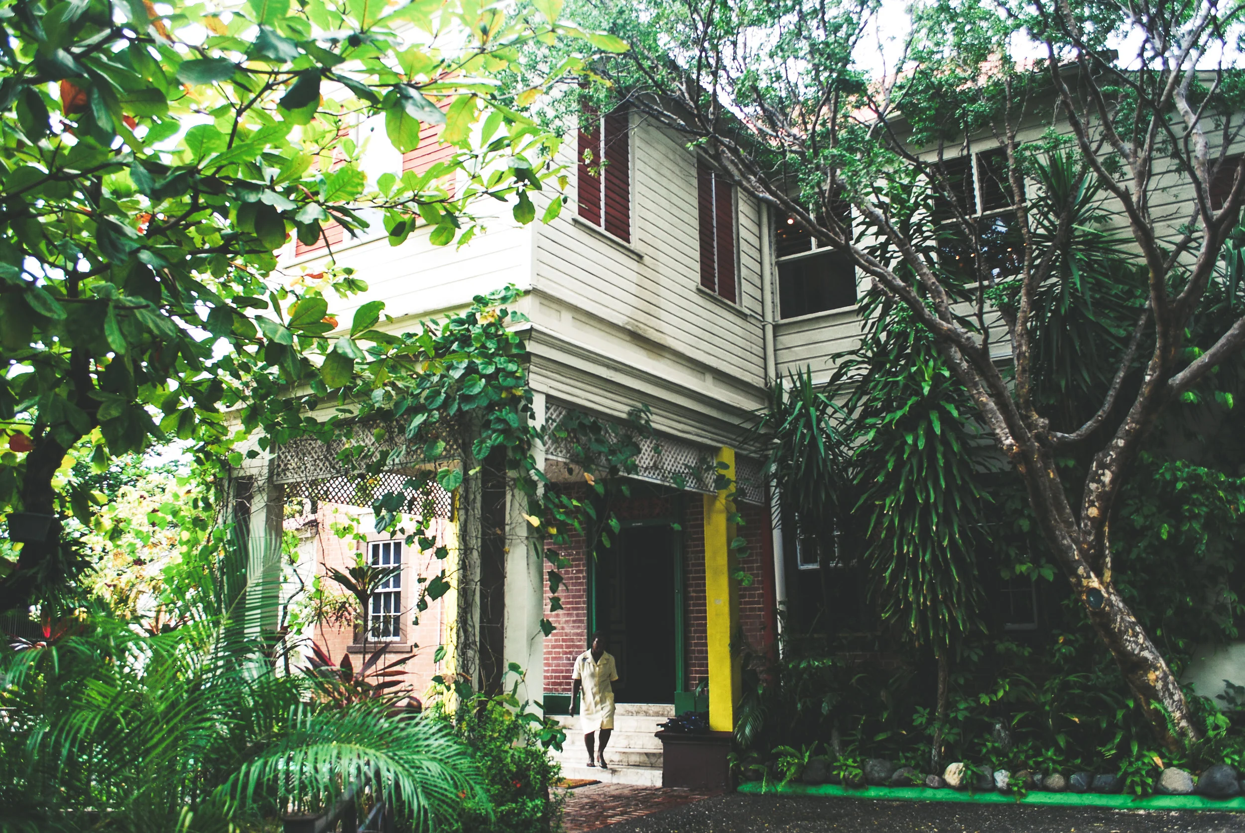 A two-story house with white wooden siding and a black front door, surrounded by lush green trees and plants, with a person walking on the front steps on Bob Marley's home at 56 Hope Road in Kingston, Jamaica.