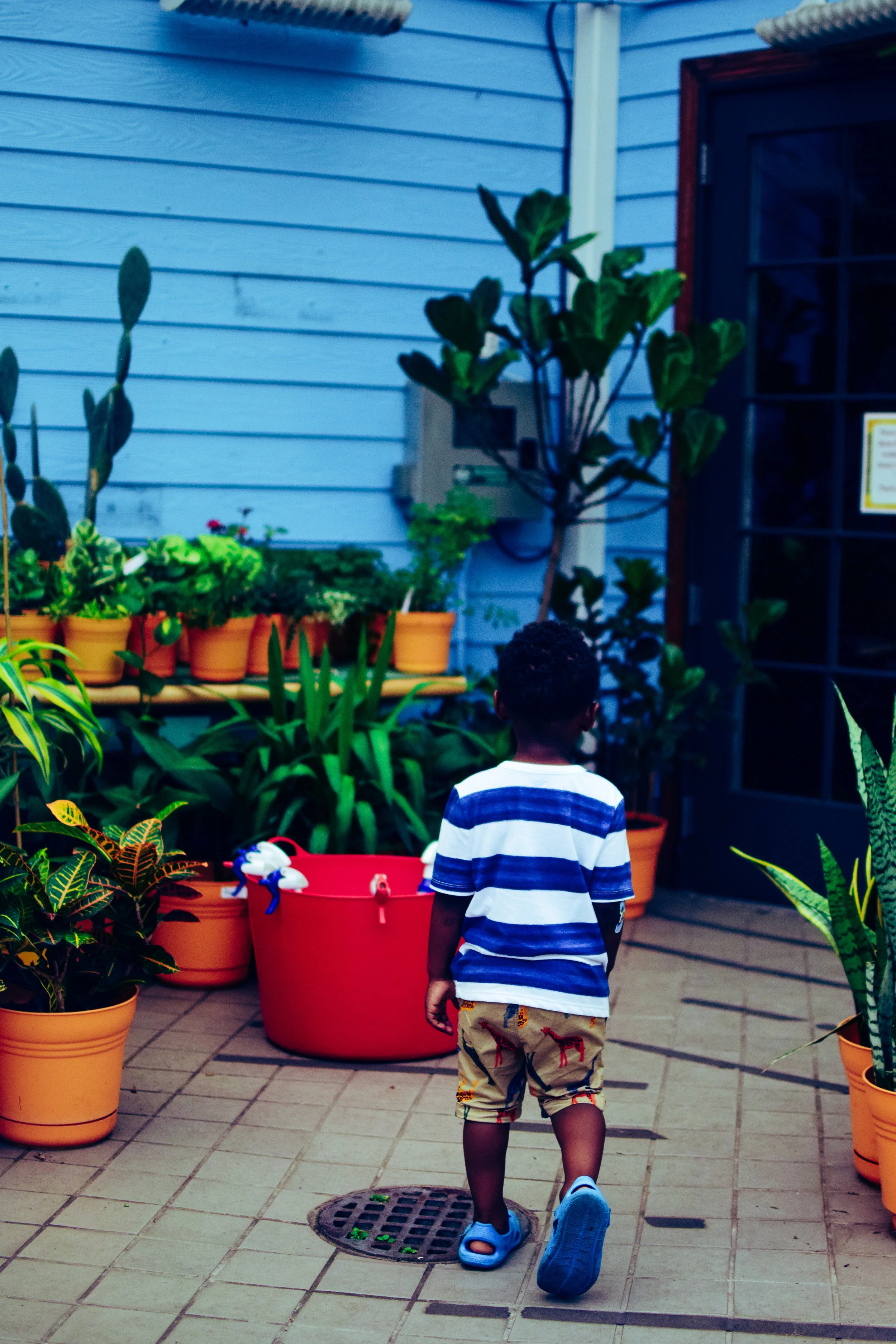 A young boy with dark curly hair wearing a blue and white striped shirt, tan shorts with colorful patterns, and blue sandals walking away on a tiled patio surrounded by potted plants, with a blue house wall and door in the background.