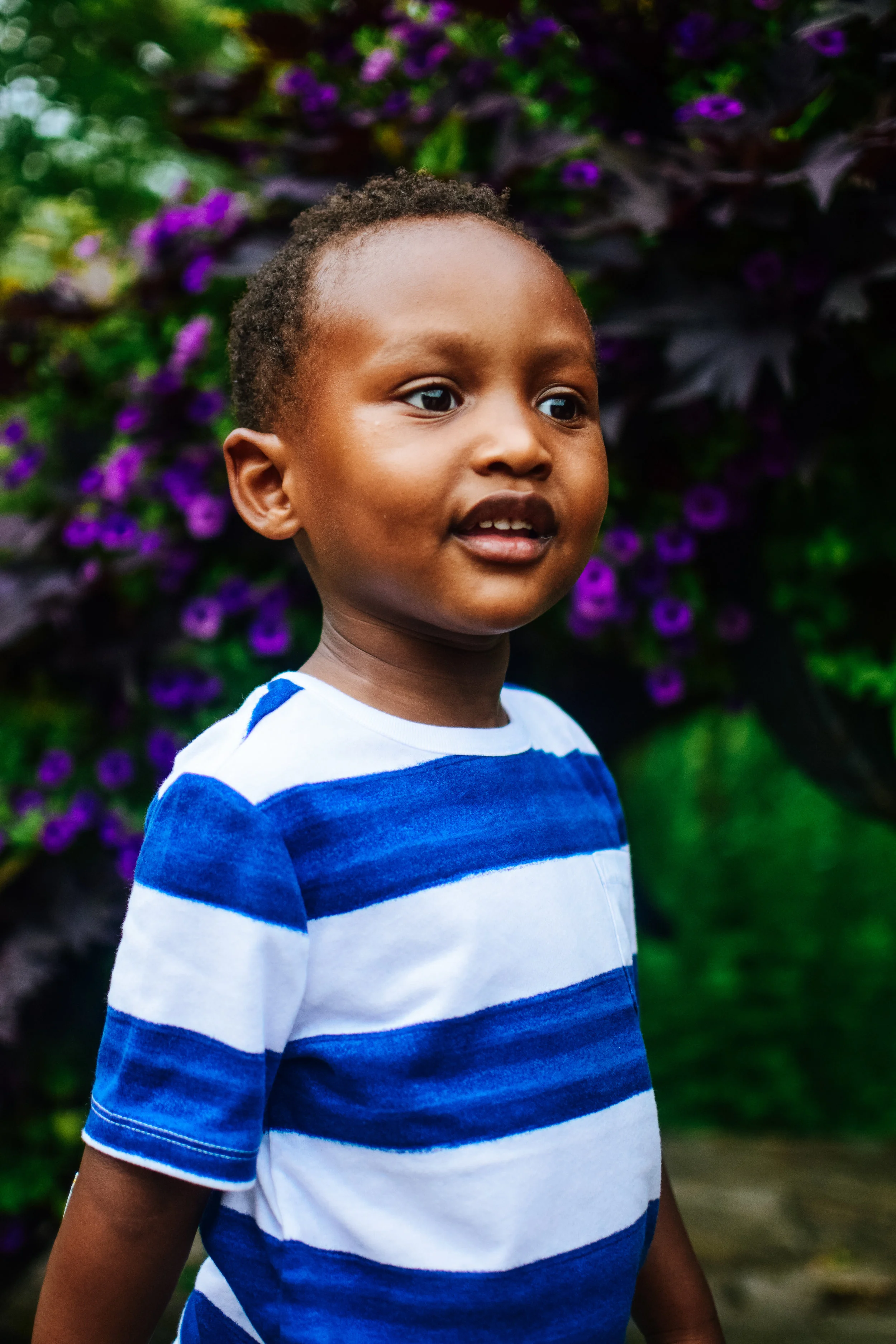 A young boy with short curly hair wearing a white and blue striped shirt, standing outdoors in front of purple flowers.