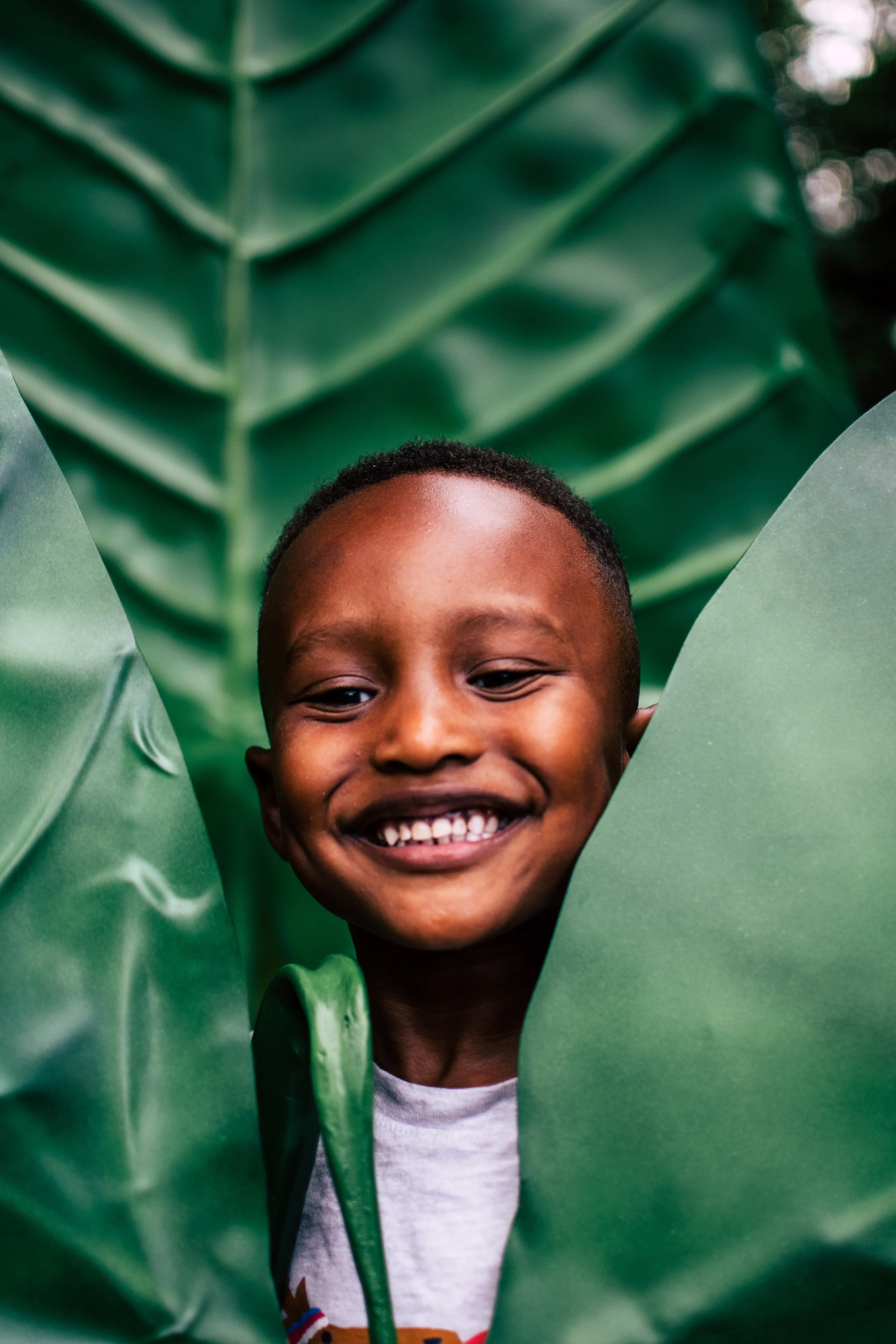 A smiling young boy peeks through large green leaves.