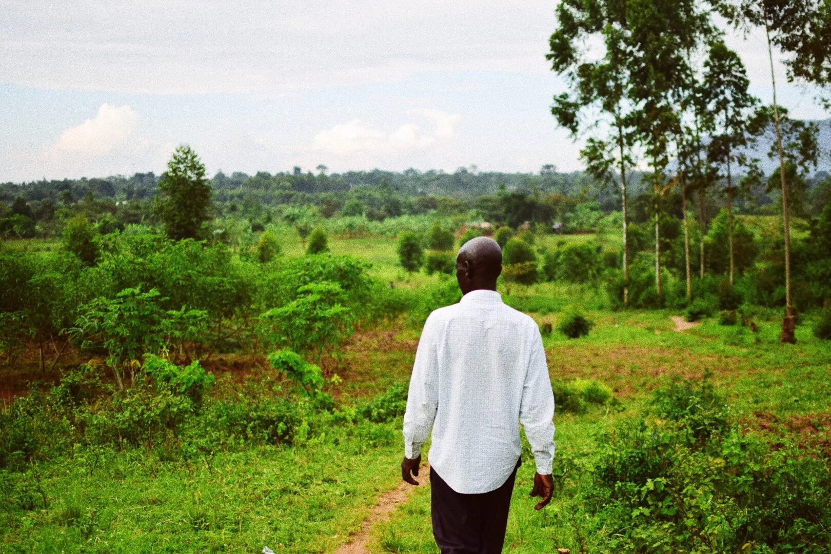 A man with a bald head, wearing a white shirt and dark pants, walking away on a small dirt path through lush green vegetation and trees in a rural landscape, under a cloudy sky in Mbale, Uganda.