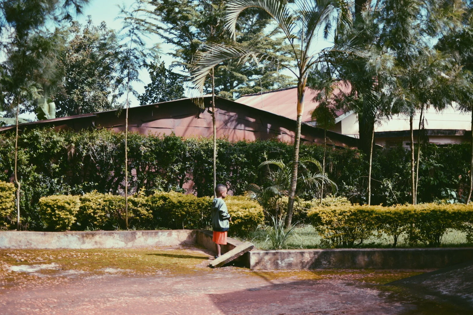 A young child standing on a small inclined platform in a garden, surrounded by green bushes and tall trees, with a brown building with a sloped roof in the background, under a partly cloudy sky.