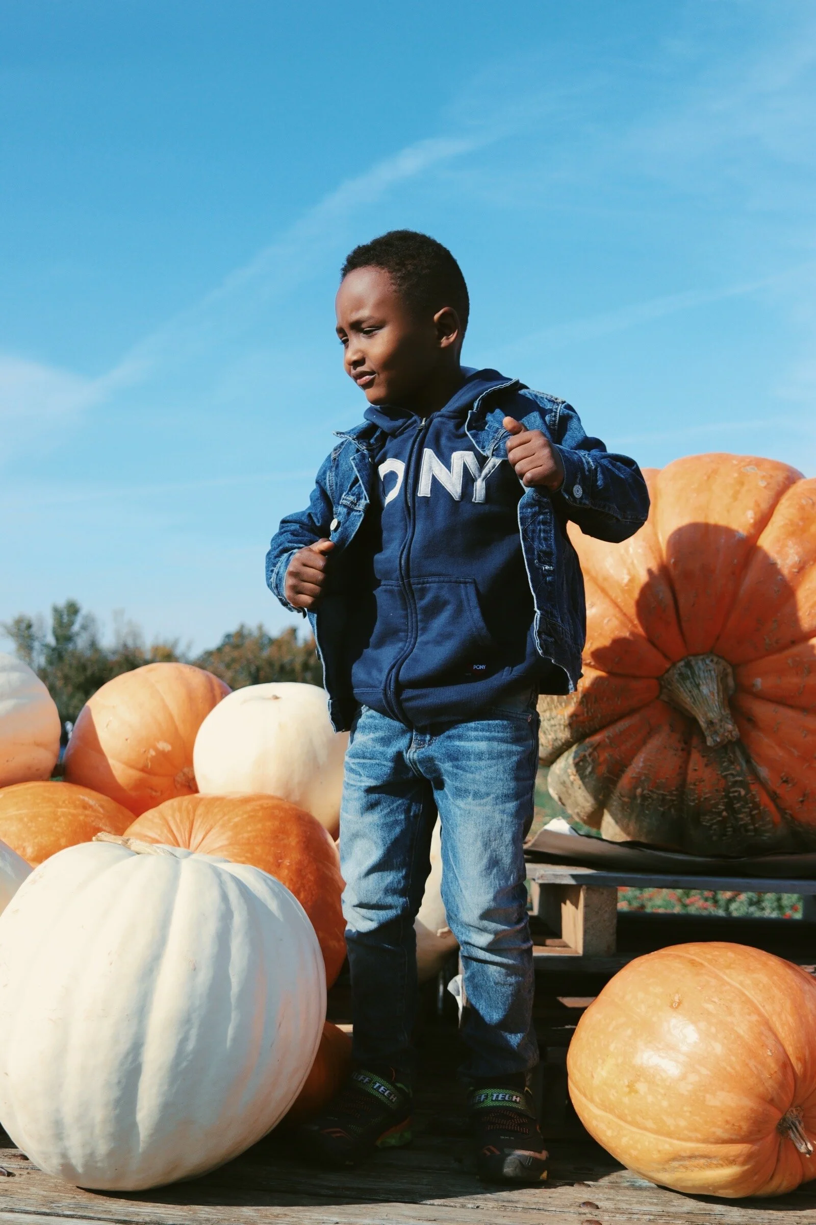 A young boy standing among pumpkins outdoors on a clear day.