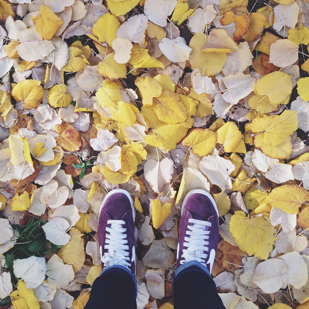 I call this one, "Morgan's Feet on Leaves"
