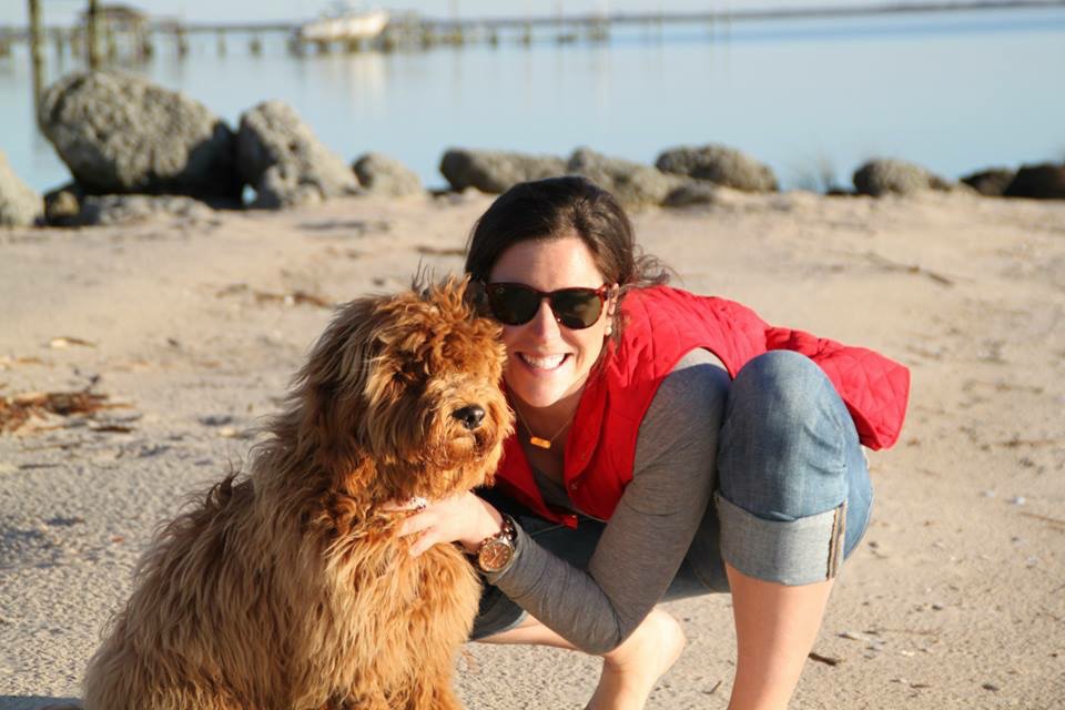 World, meet Gus. He's the cutest doodle ever (don't tell Walter I said that).