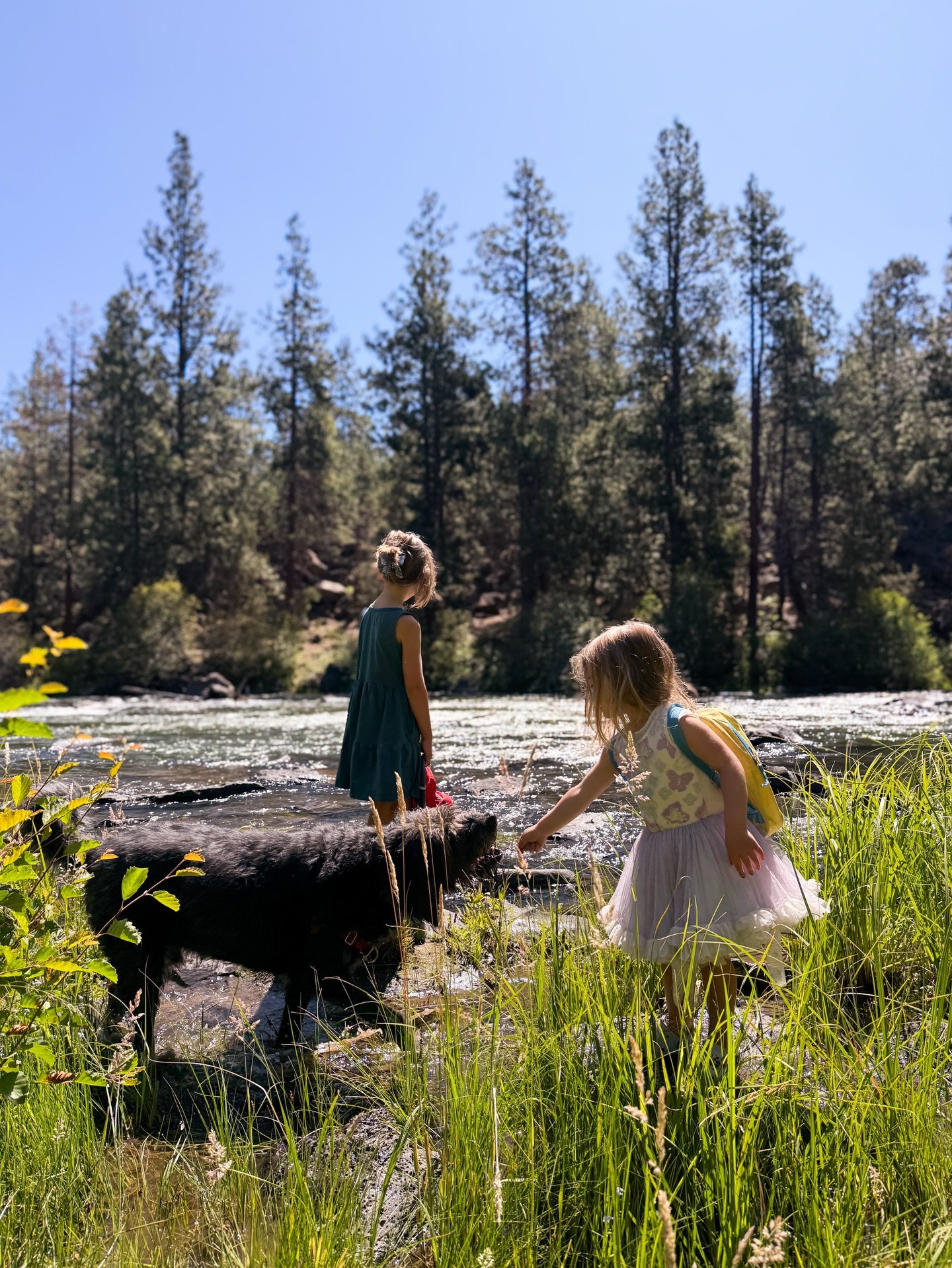 Two sick girlies and a country that seems to be splitting in two. It feels both unwise and uncomfortable to be launching something this week, but here we are.

I guess I have two things to say:

1. Let&rsquo;s do our best to show up for each other in