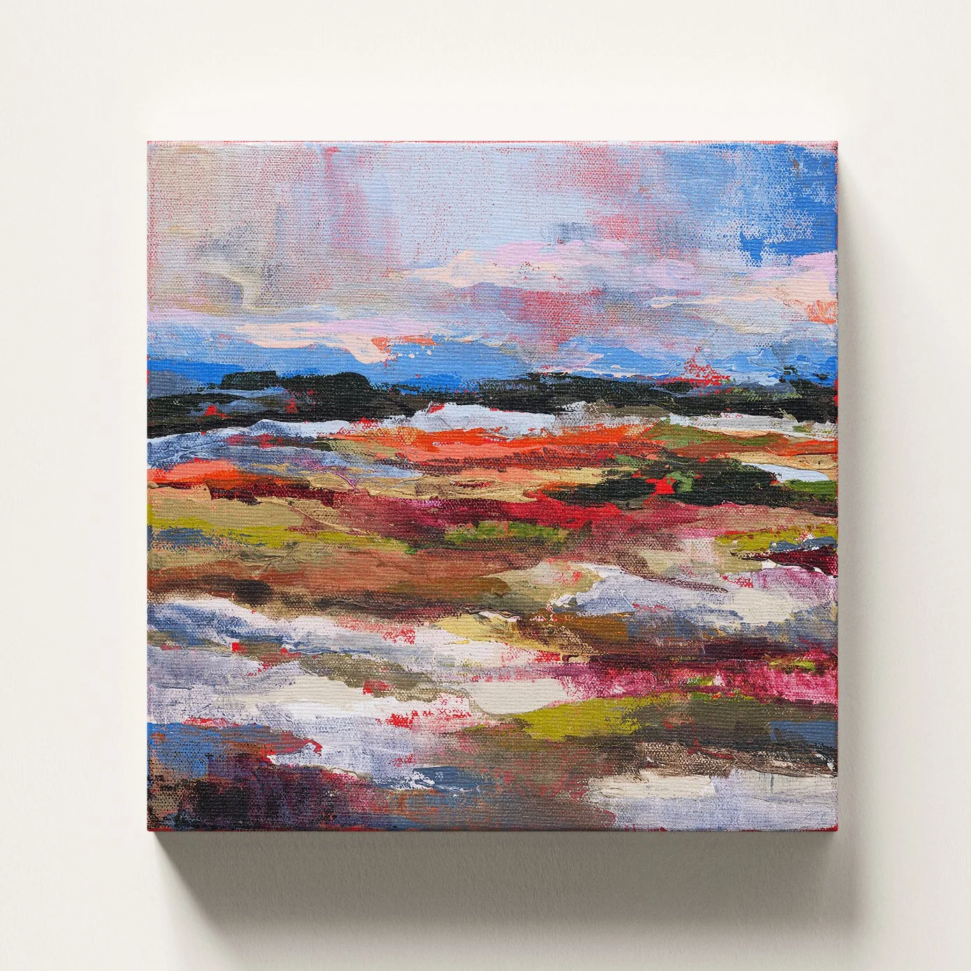 Stretched Canvas Print