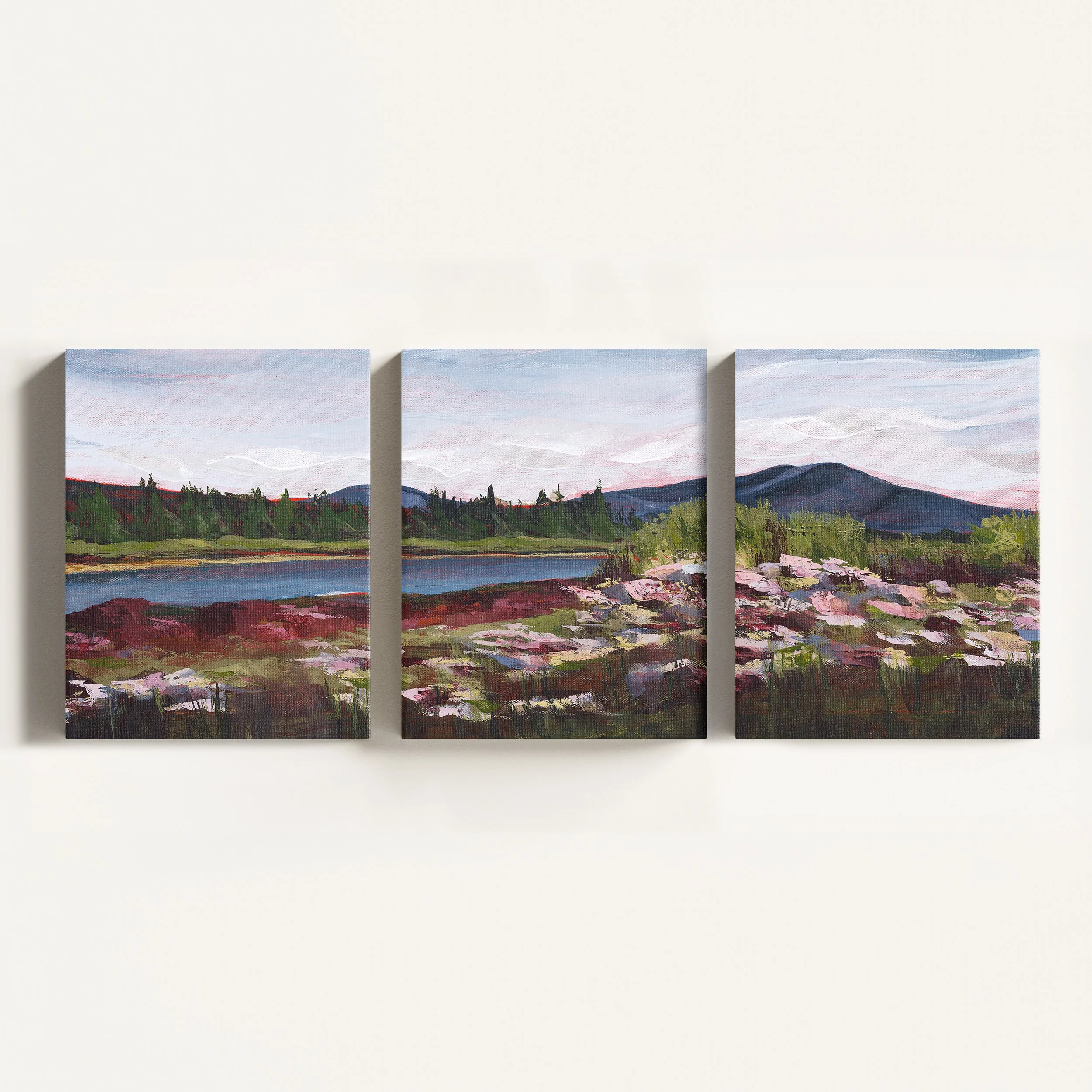 DavisLake-Triptych-CanvasMockup.jpg