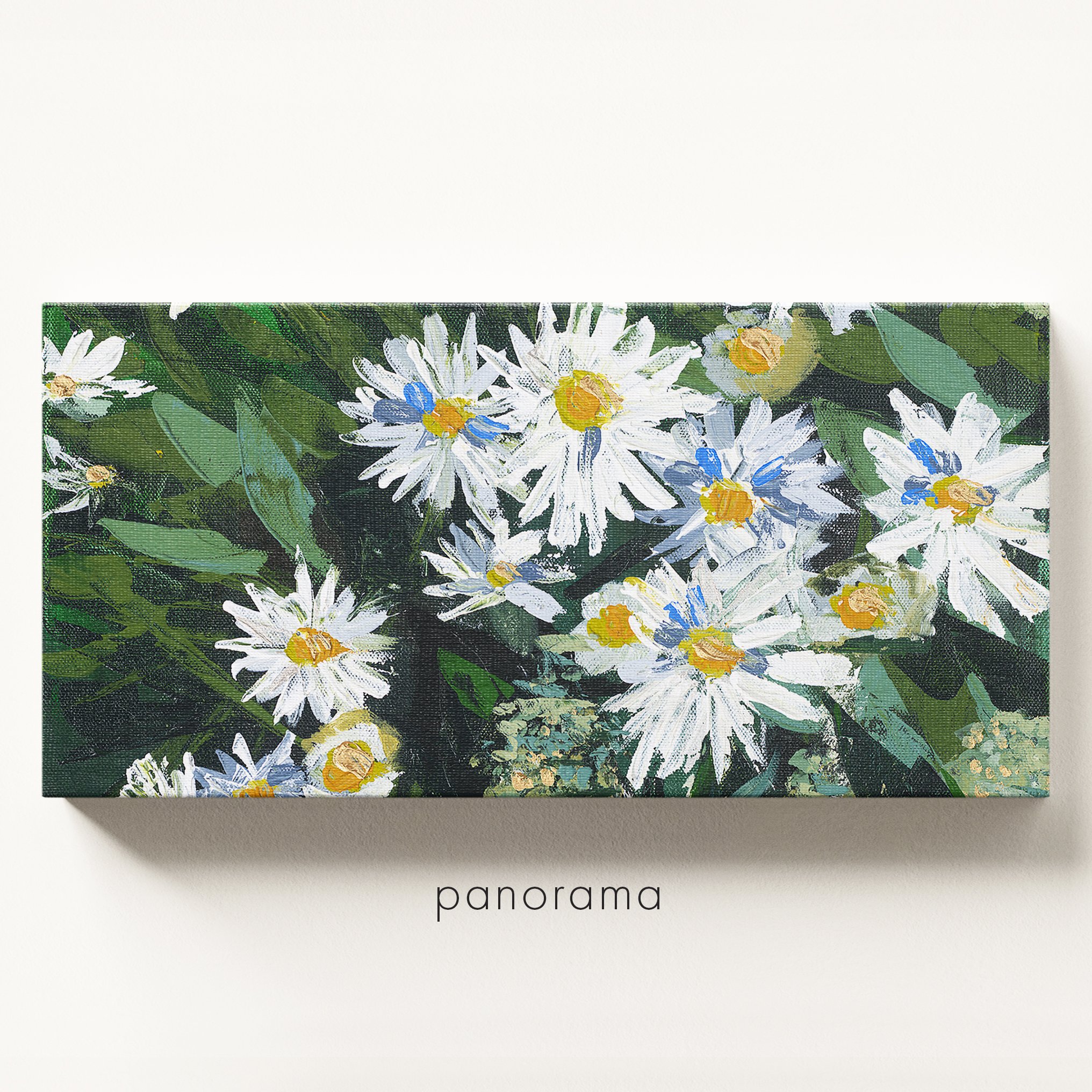 Daisies-panorama.jpg