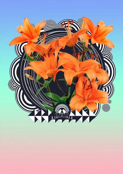 ARTWORK | LUCY JAY