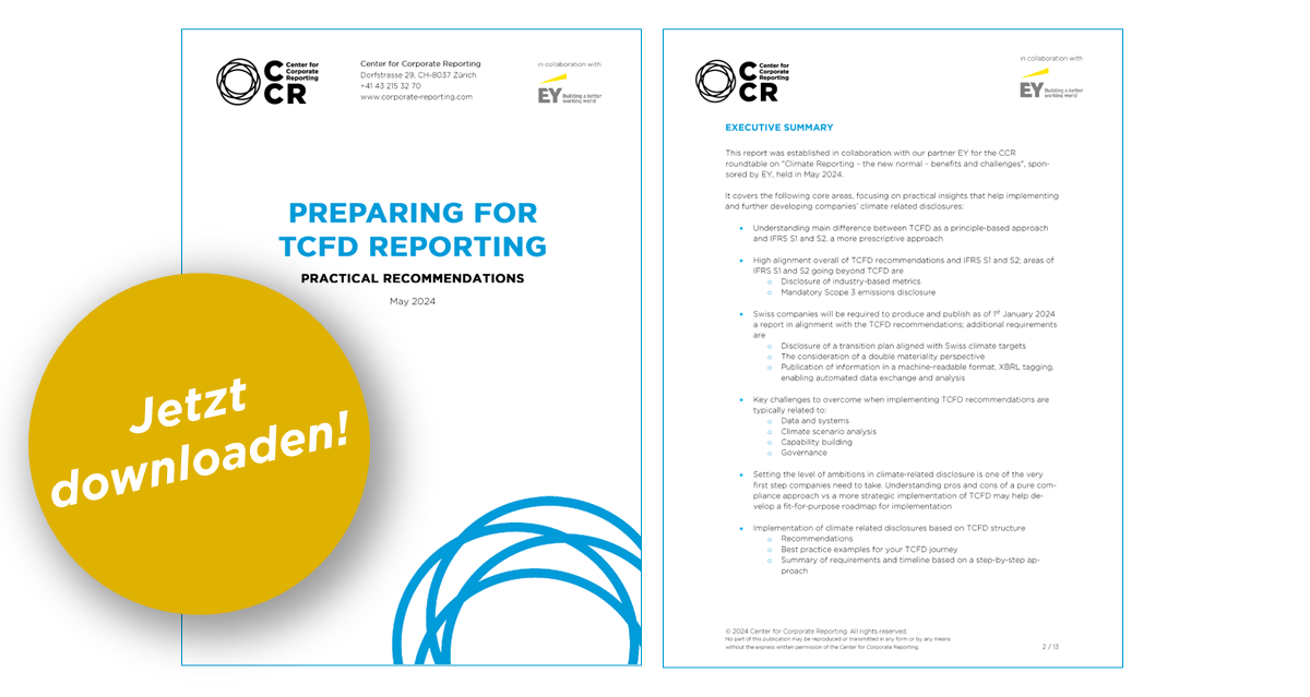 Preparing for TCFD Reporting - Practical Recommendations