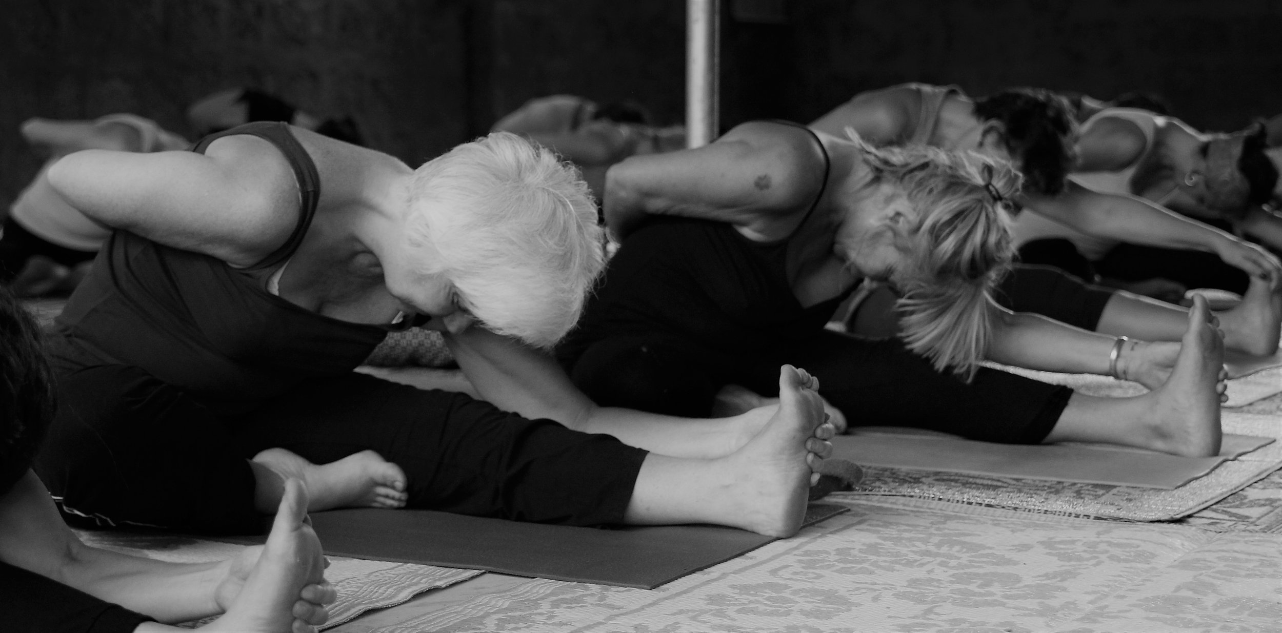 Yoga for google maps trimurti.jpg