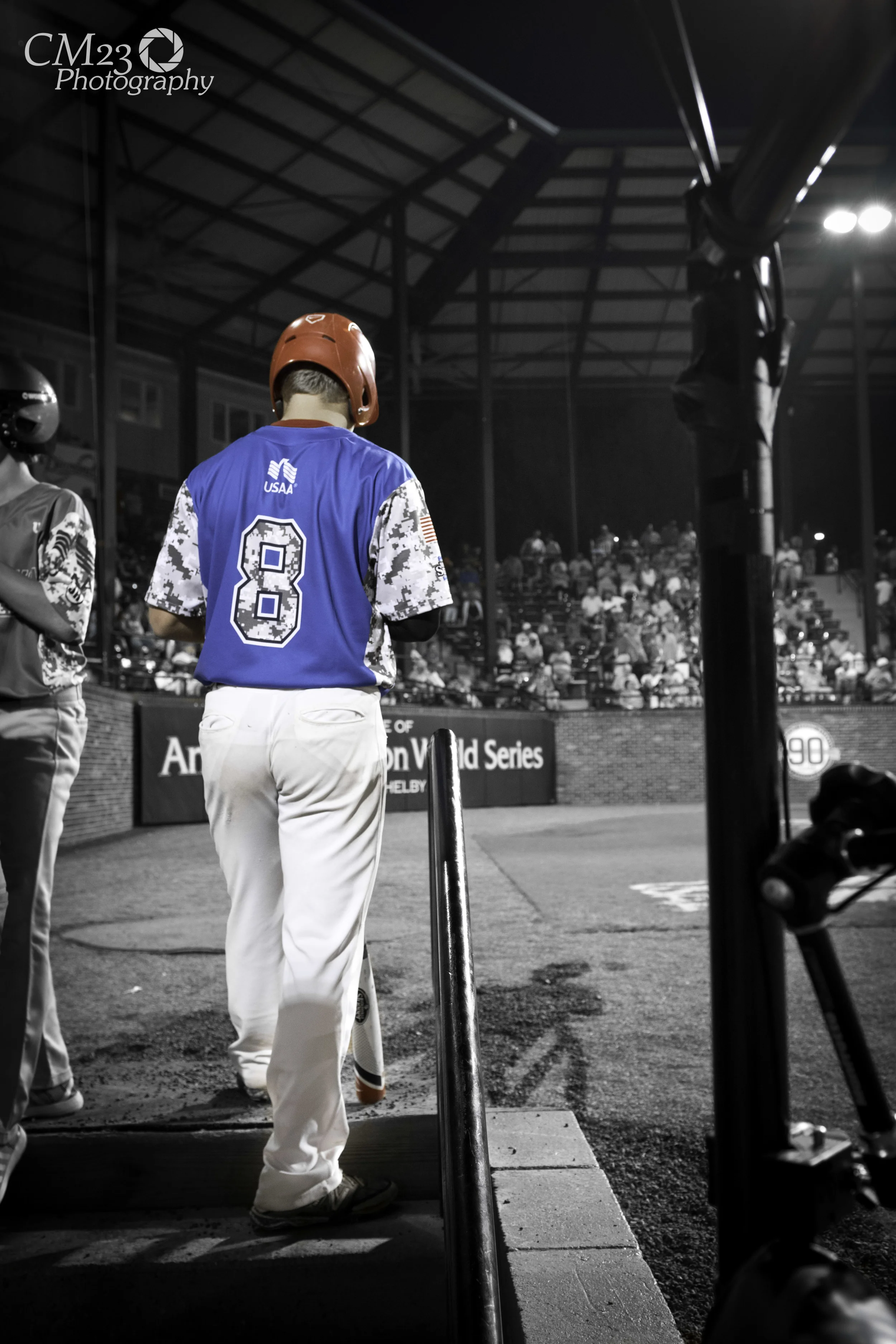 Batter up watermark.jpg