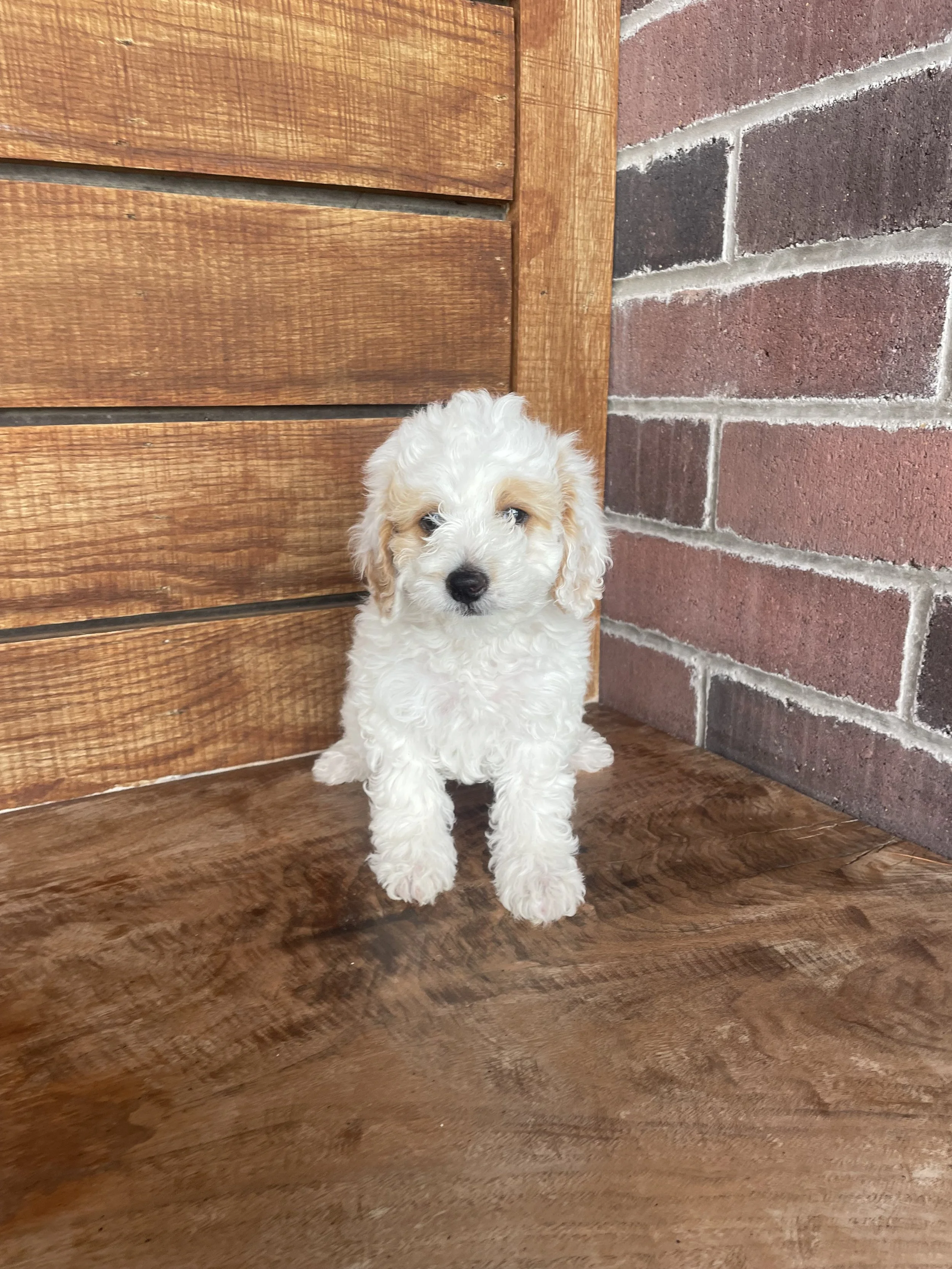 Charlie