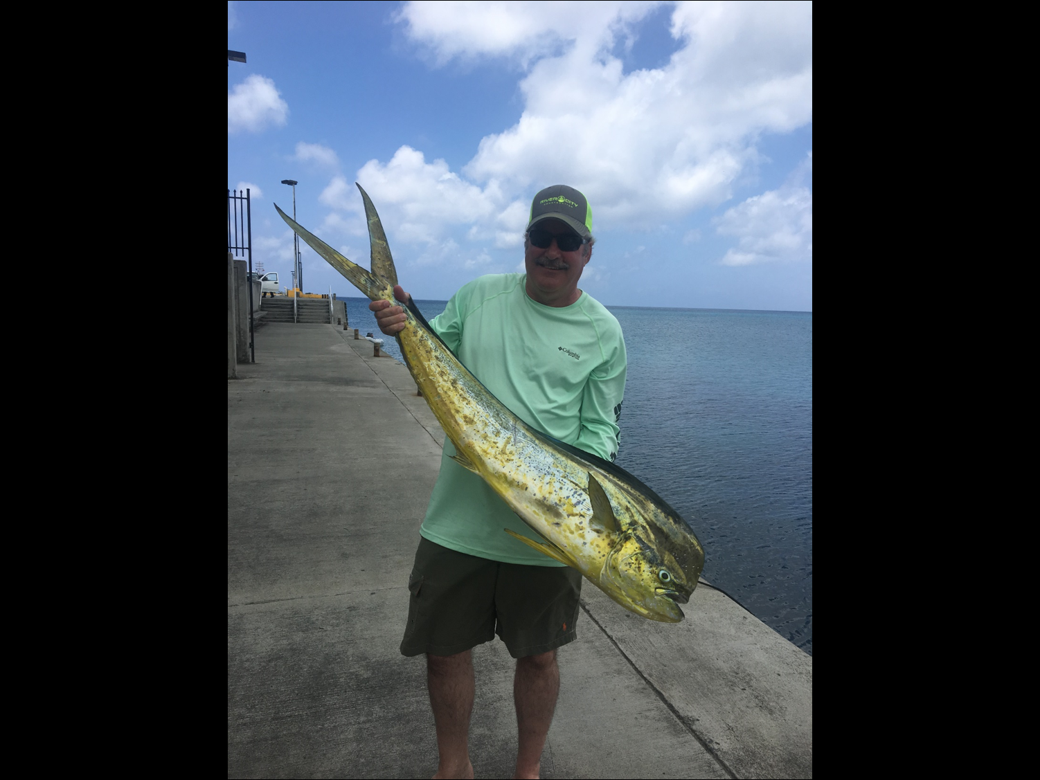 mahi3.png