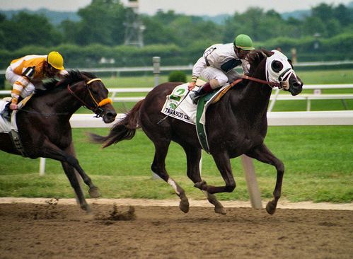 kentucky-derby-horse.jpg