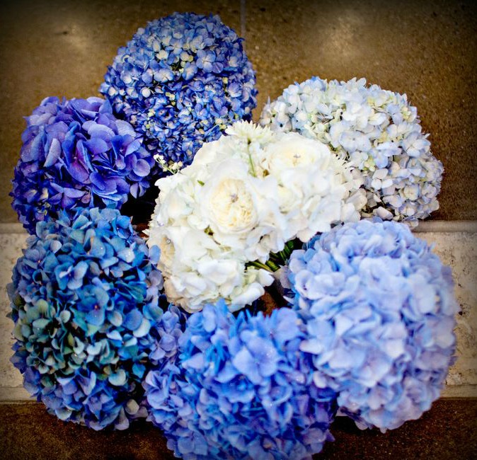 ombre-flowers.jpg