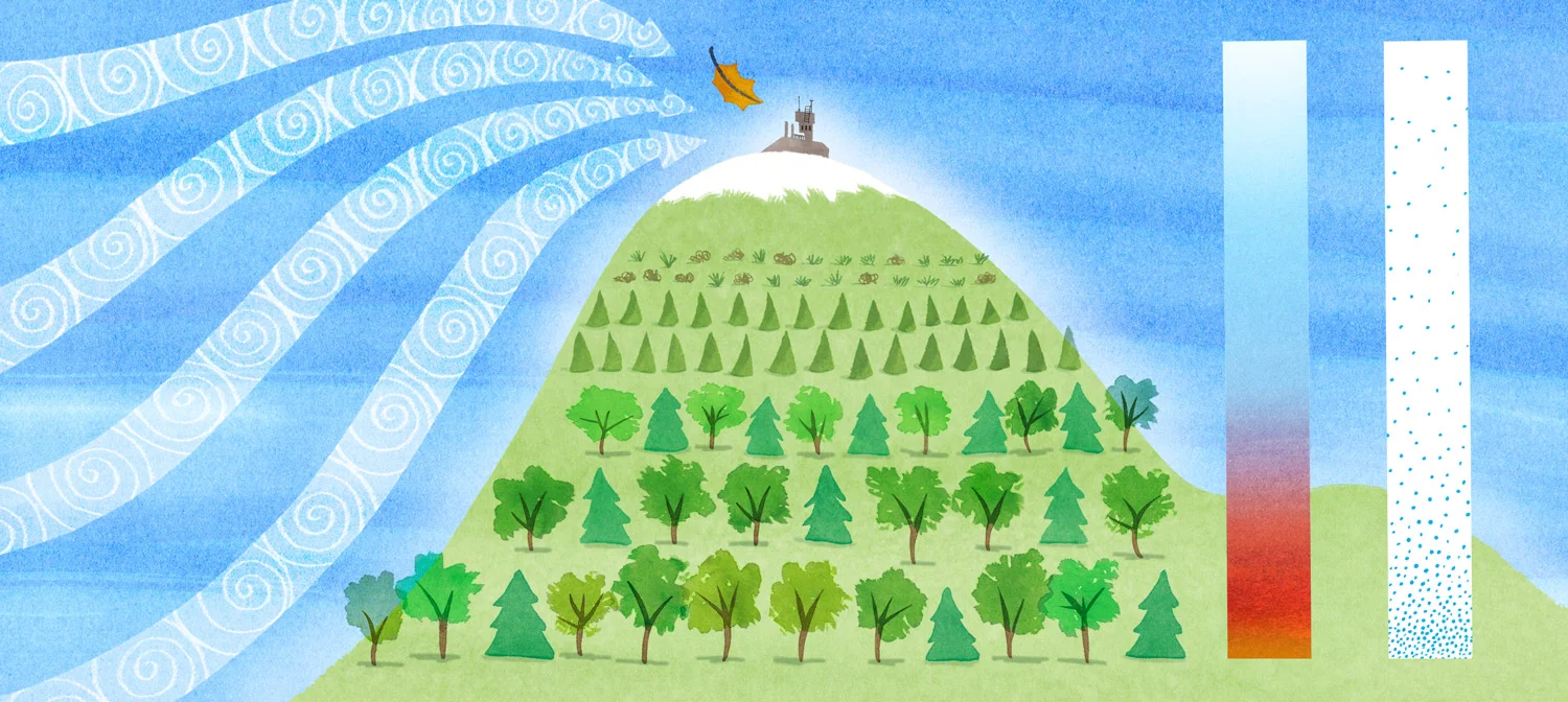  Weather Mountain: An article featuring the Mount Washington Weather Observatory. 