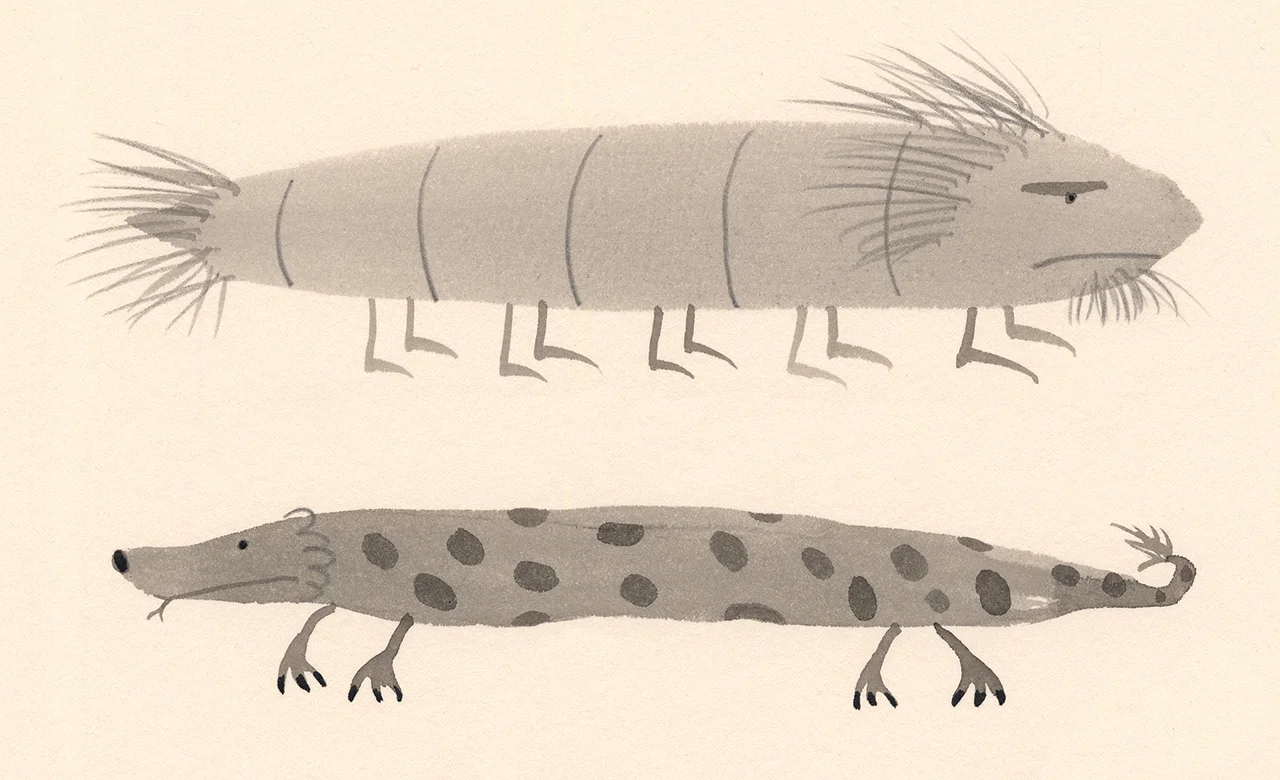 ARaff_RUF-lizards_detail.jpg