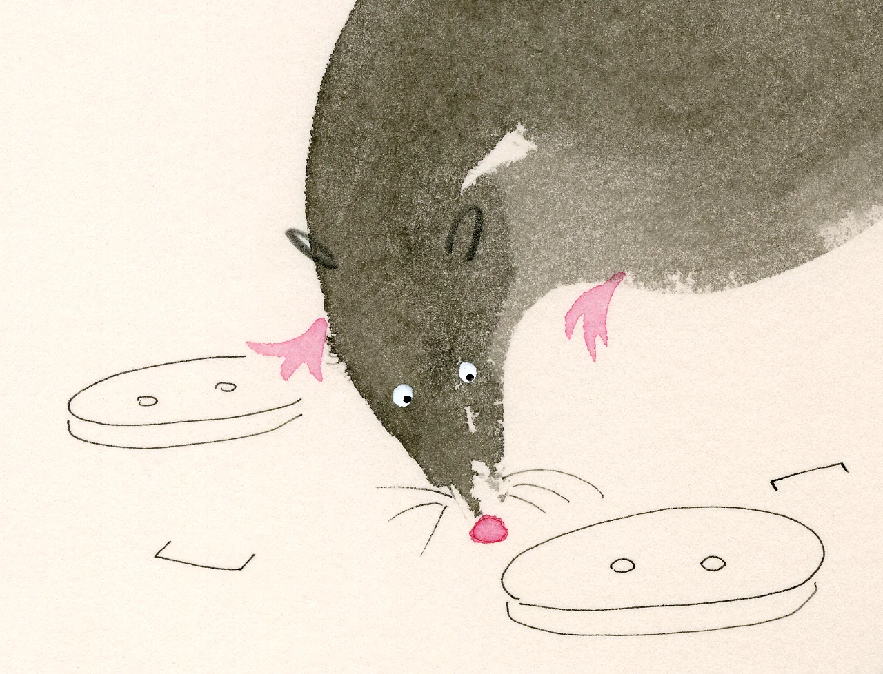 ARaff_RUF-rats_detail.jpg