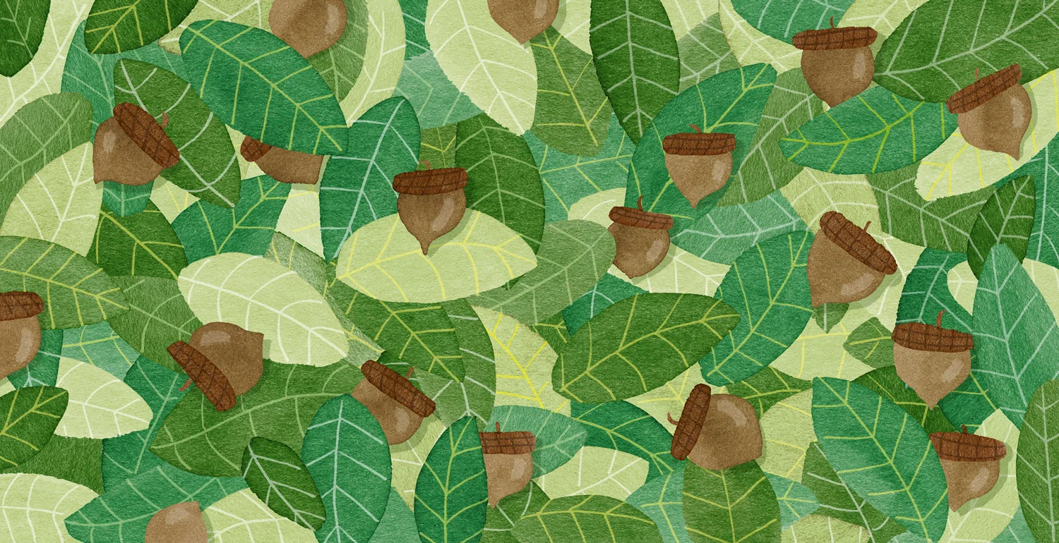  Acorns and Leaves 