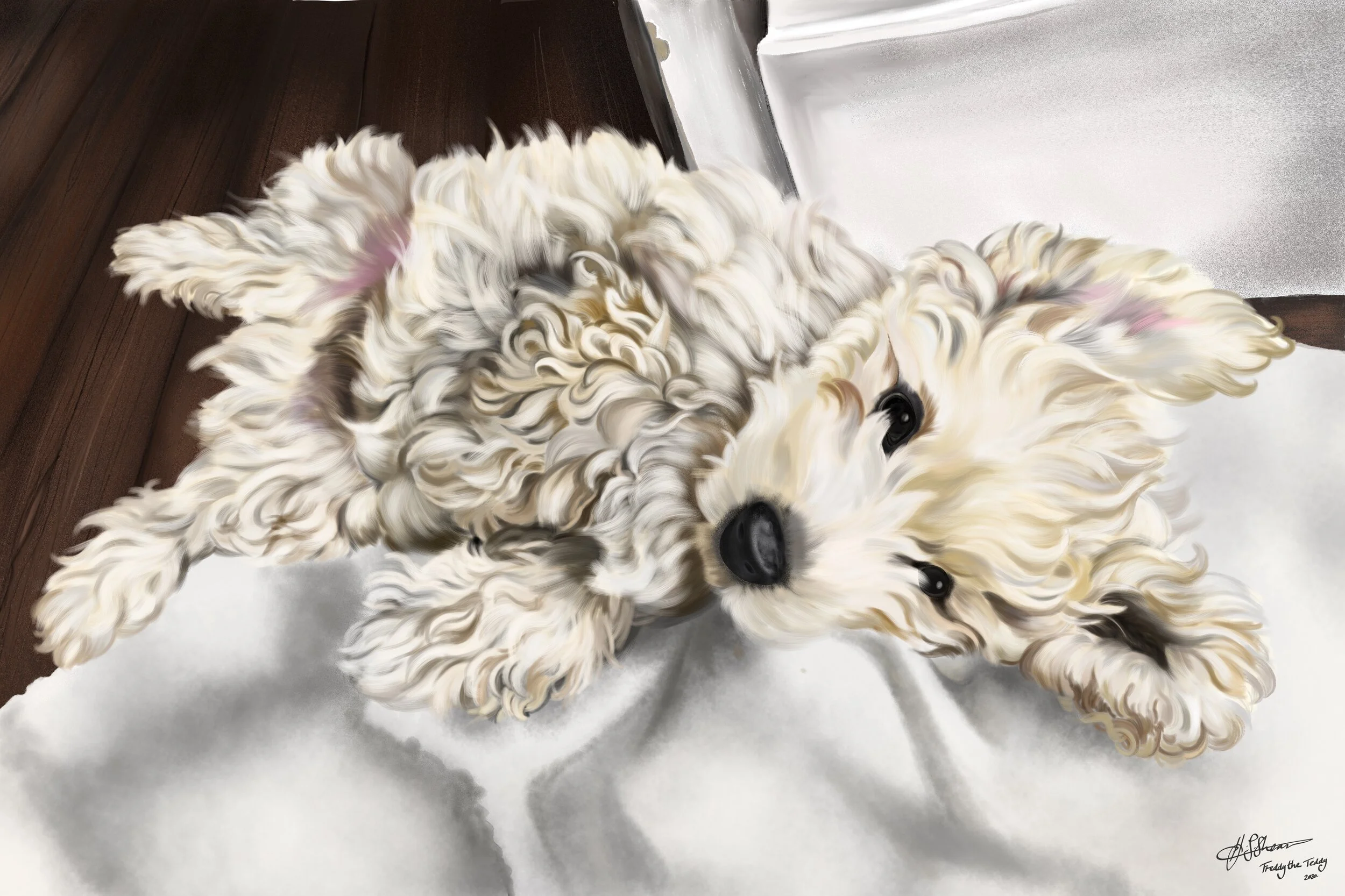 Freddy the Teddy Heather Shears.JPG