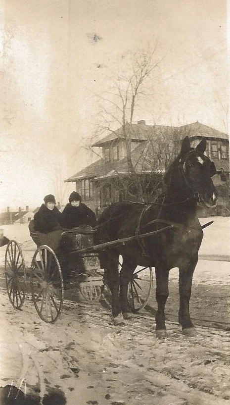 HORSE DRAWN CARRIAGE - 1901