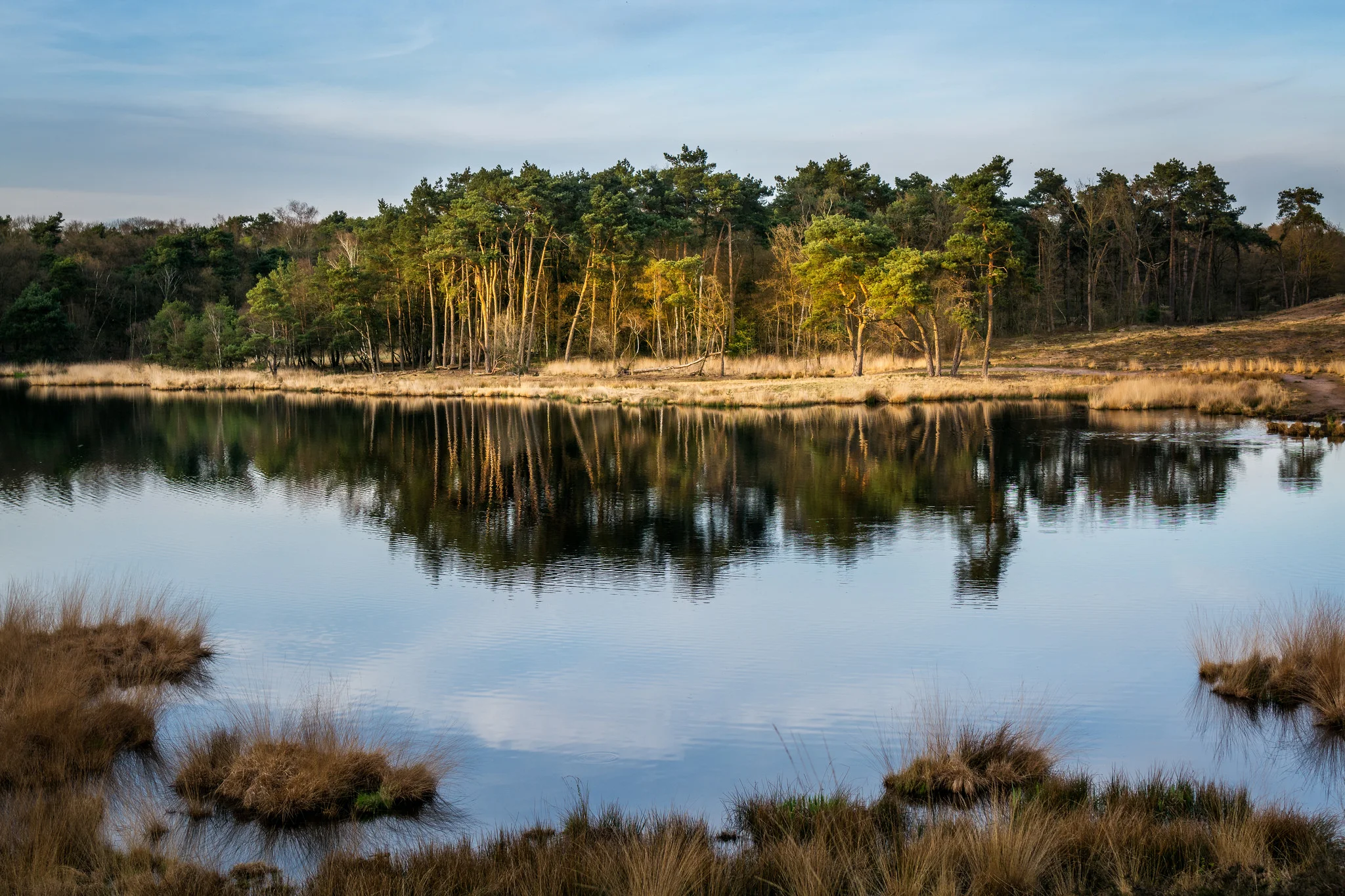 Hatertse Vennen last sun
