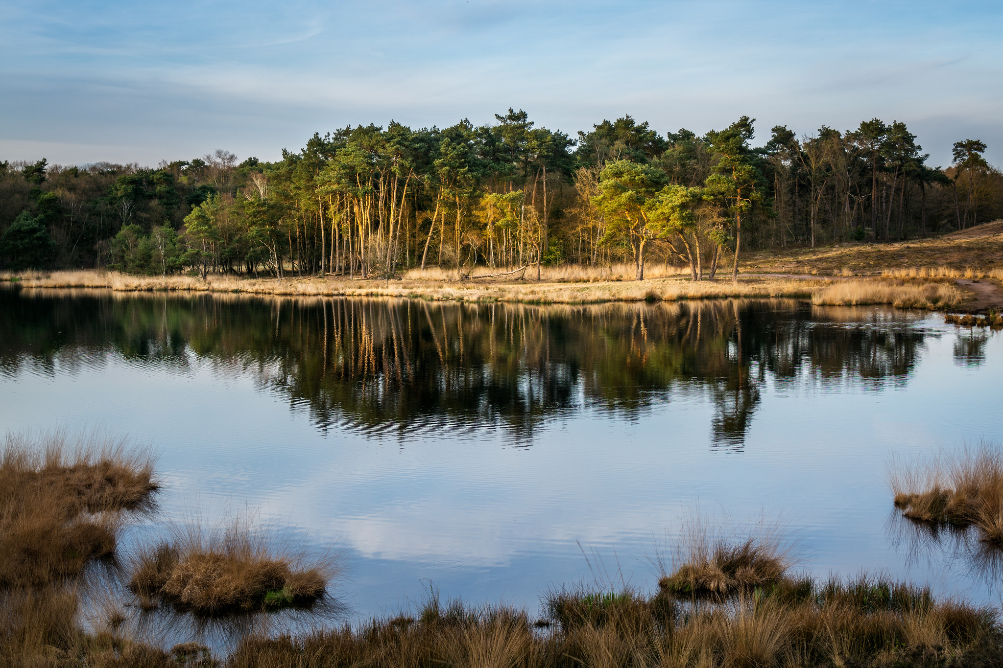 Hatertse Vennen last sun