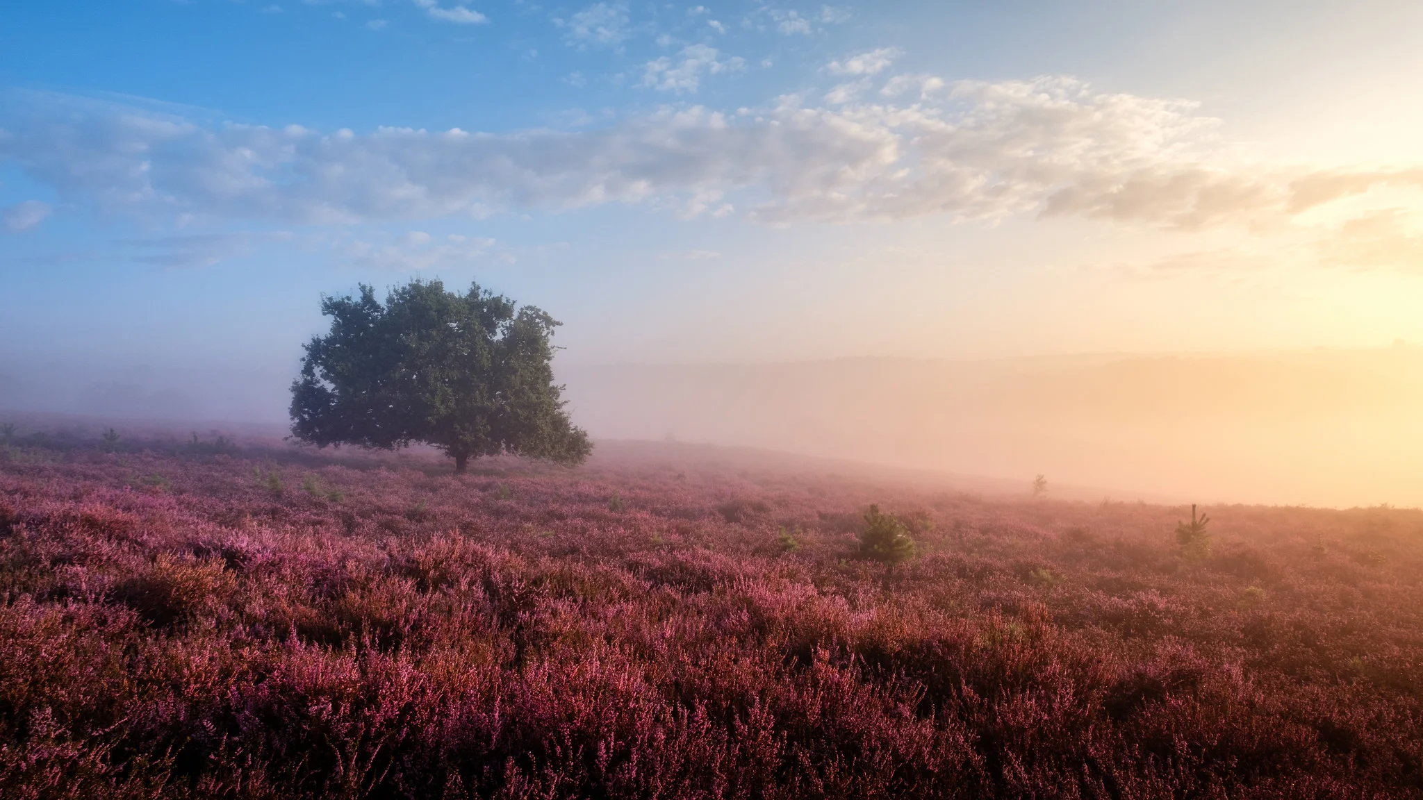 Misty posbank