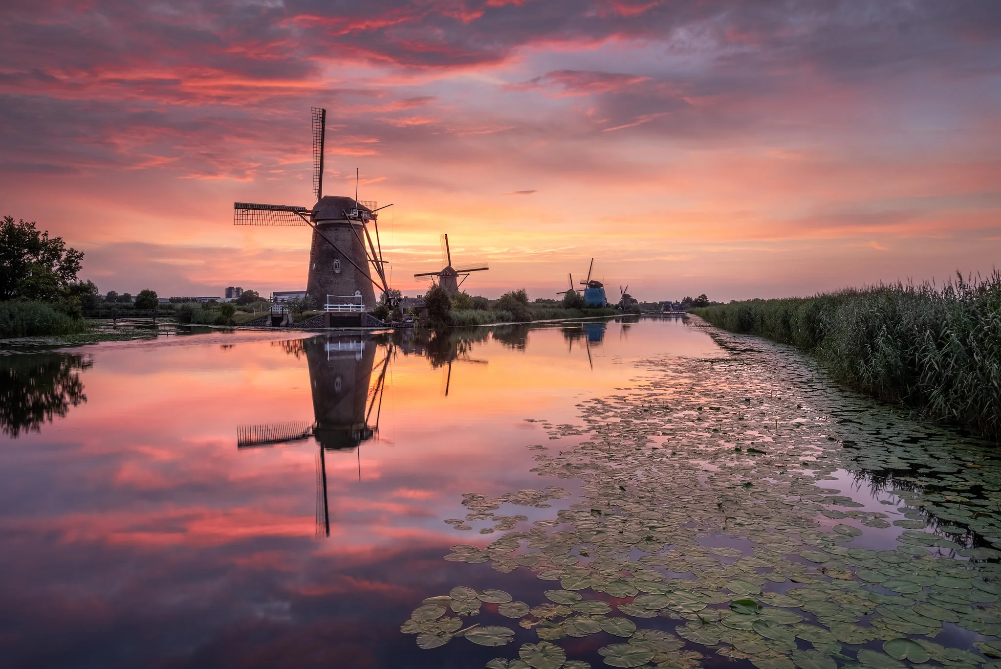 Kinderdijk classic