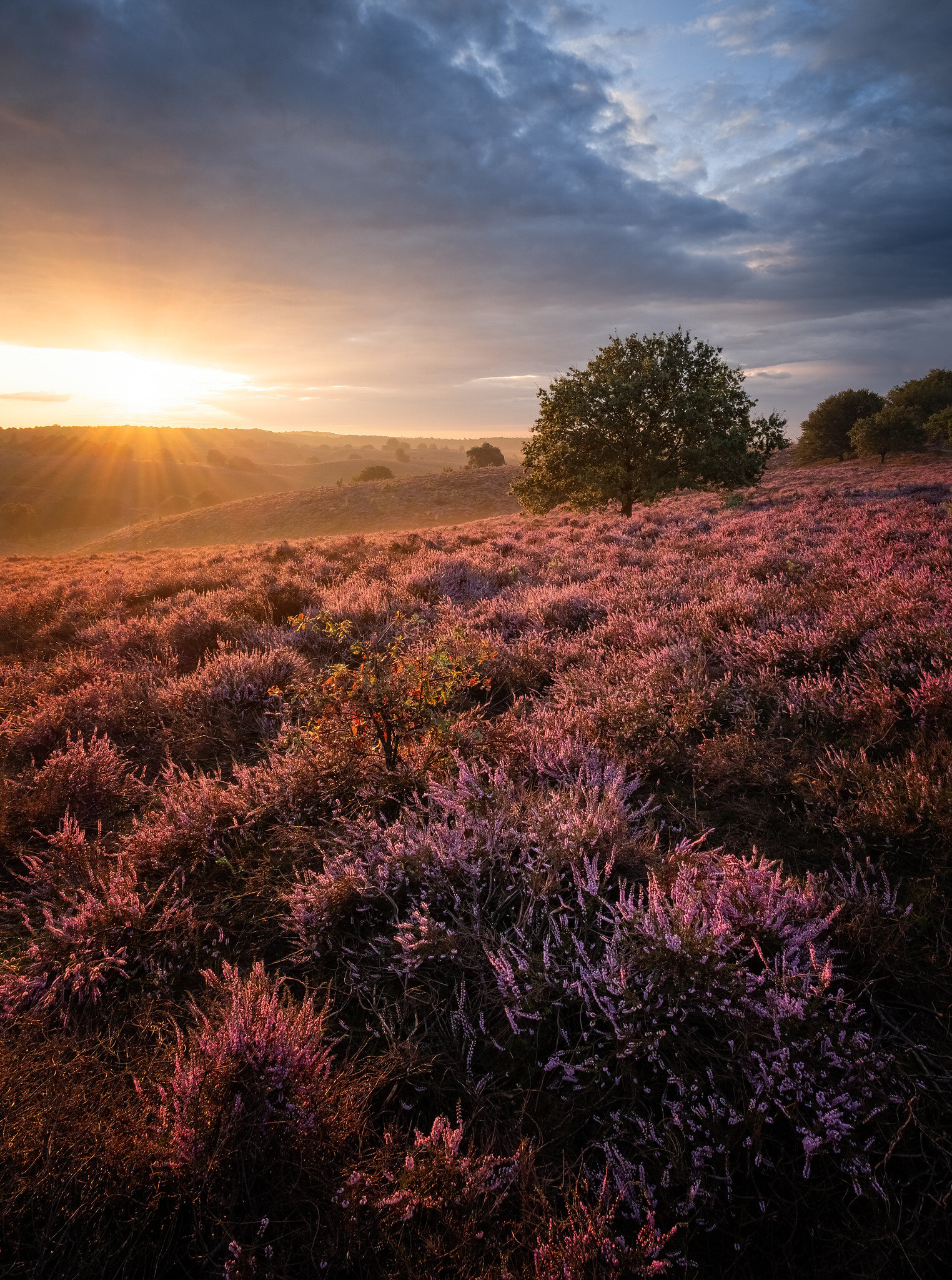 Posbank Sunrise