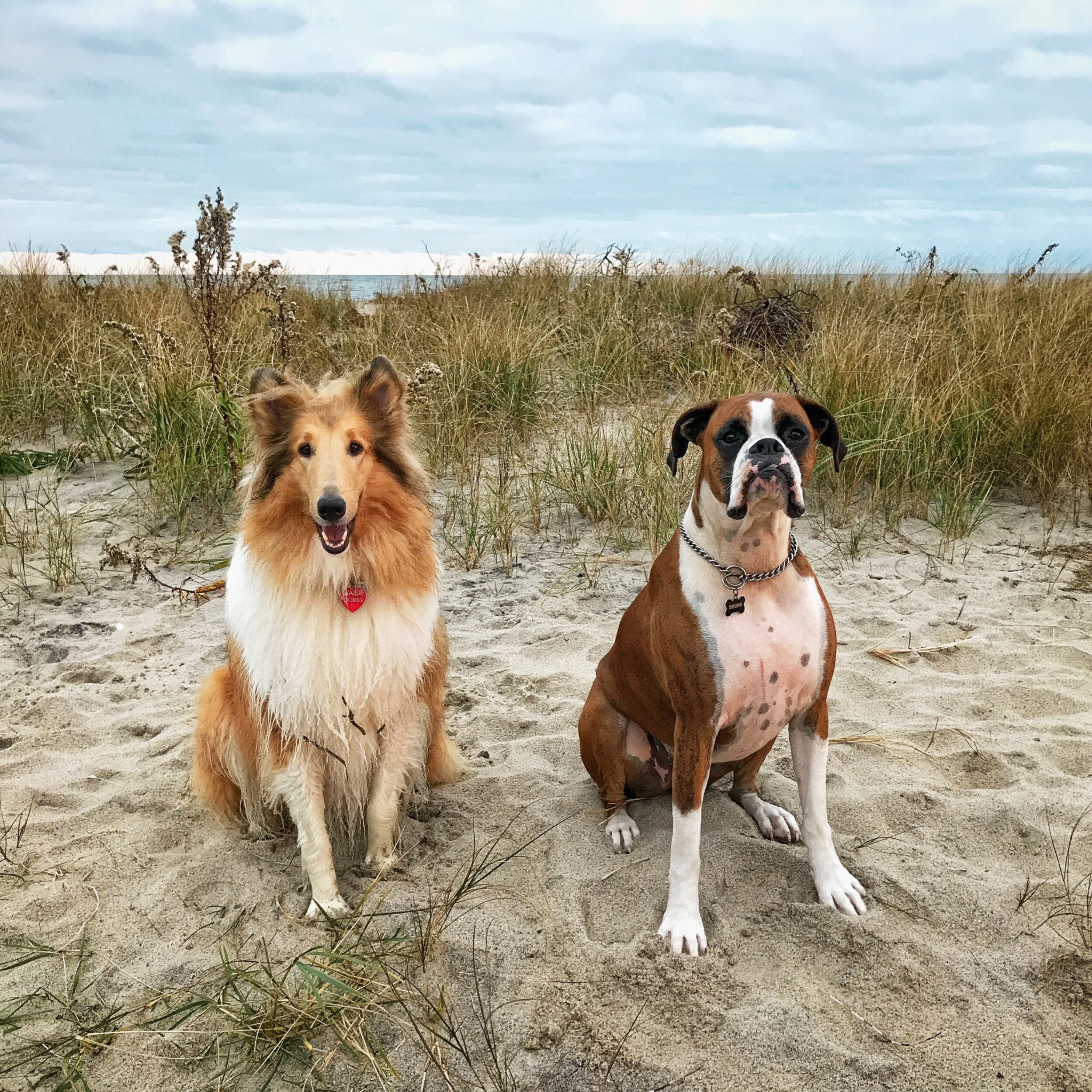 Best Friends
